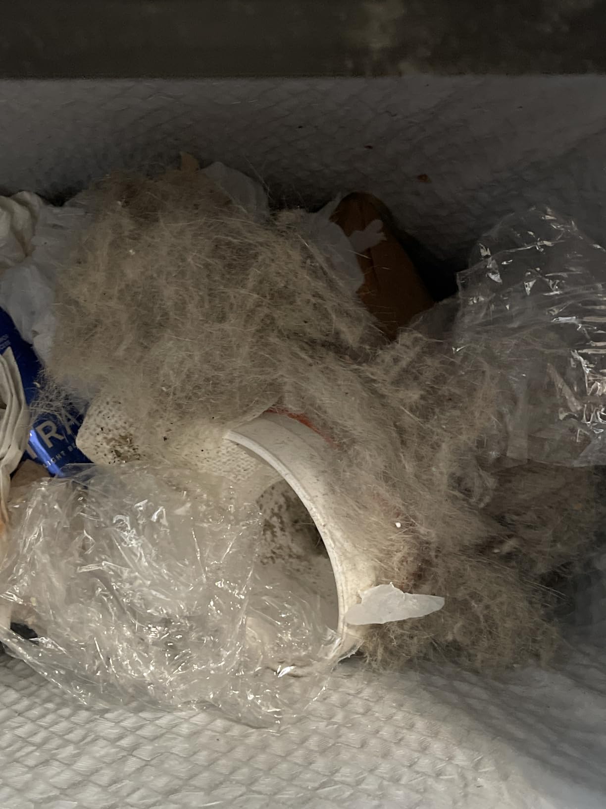 Shark Corded Stick Vacuum, Ultra-Lightweight, Swivel Steering, Powerful Deep-Cleaning, Floor-to-Ceiling Versatility, Converts to a Handheld Vacuum, Carpets & Hardfloor, Green, CS110EM - Customer Photo 2