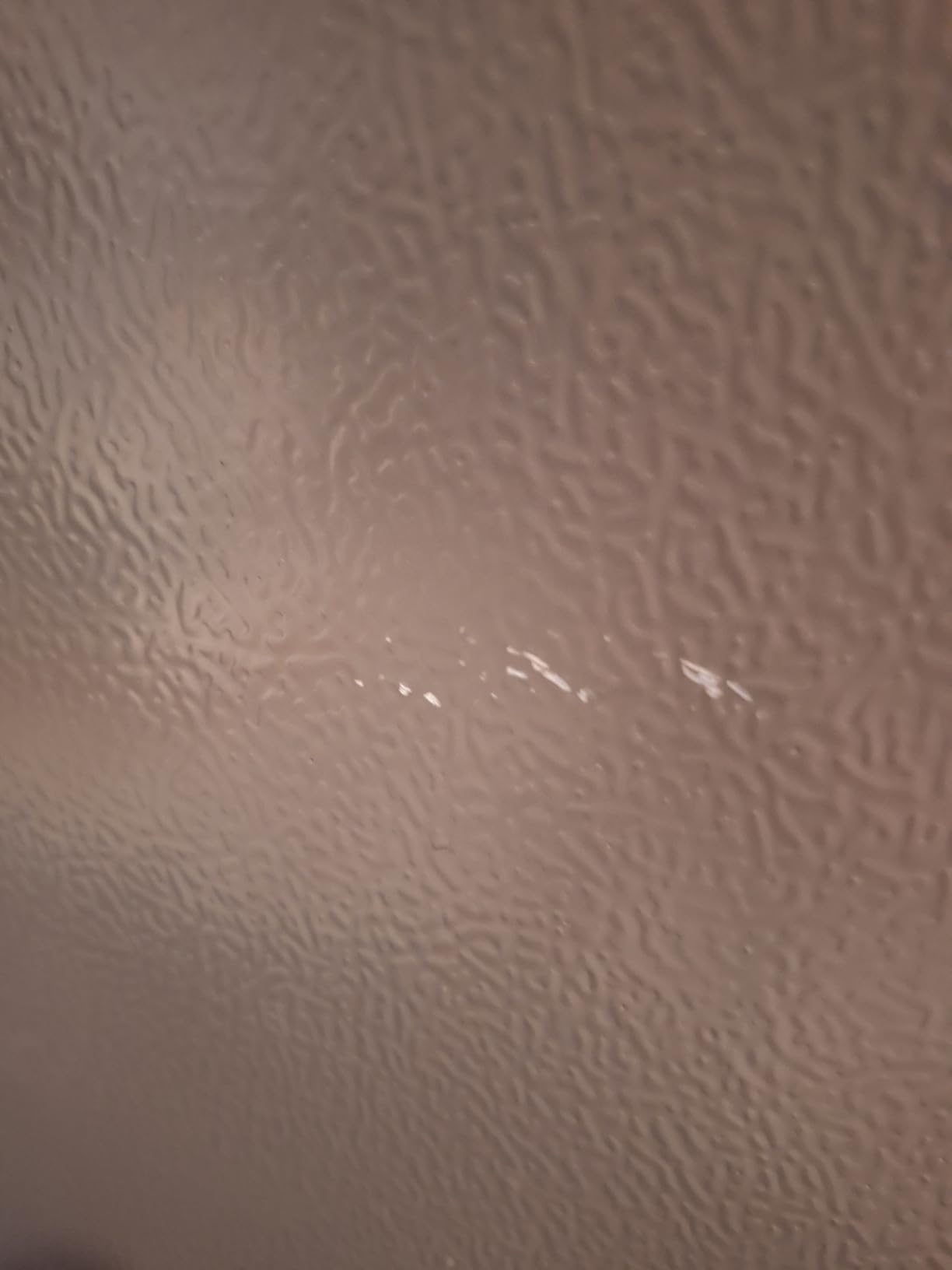 Kenmore 33 in. 20.5 cu. ft. Capacity Refrigerator/Freezer with Full-Width Adjustable Glass Shelving, Humidity Control Crispers, ENERGY STAR Certified, Fingerprint Resistant Stainless Steel - Customer Photo 3