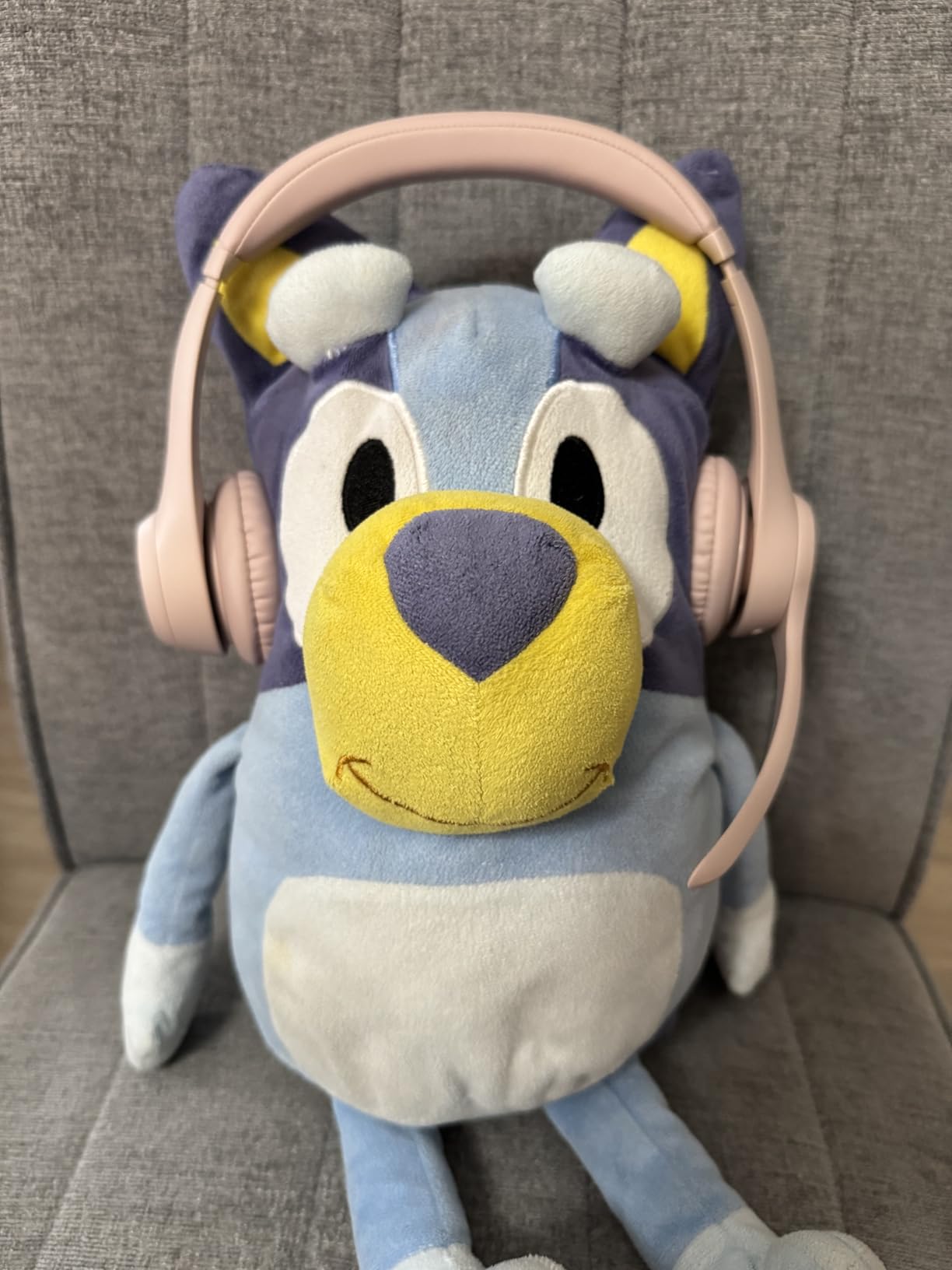 Logitech Zone 301 Wireless Bluetooth Headset with Noise-Canceling Microphone, Compatible with Windows, Mac, Chrome, Linux, iOS, iPadOS, Android – Graphite - Customer Photo 1