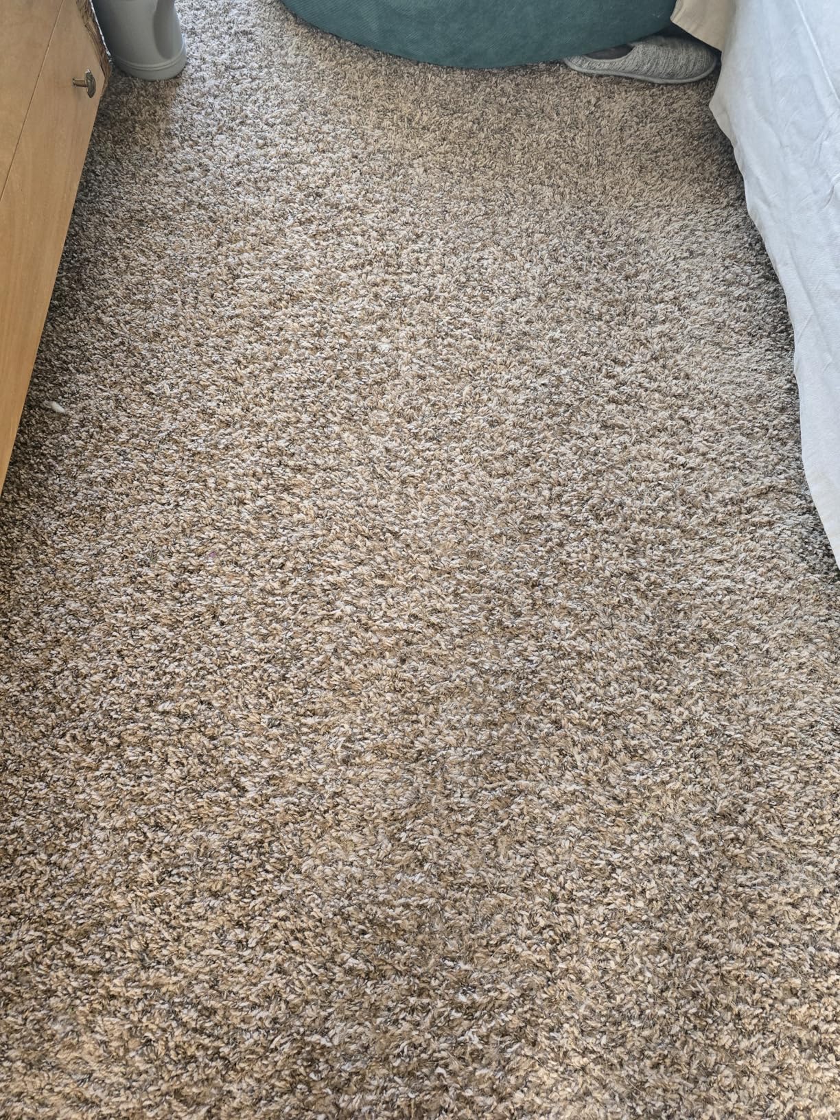 Bissell CleanView Swivel Vacuum with Triple Action Brush Roll, Swivel Steering, Extension Wand, Easy-Empty Dirt Tank, Multi-Cyclonic Suction System, New 2024 Model - Customer Photo 1