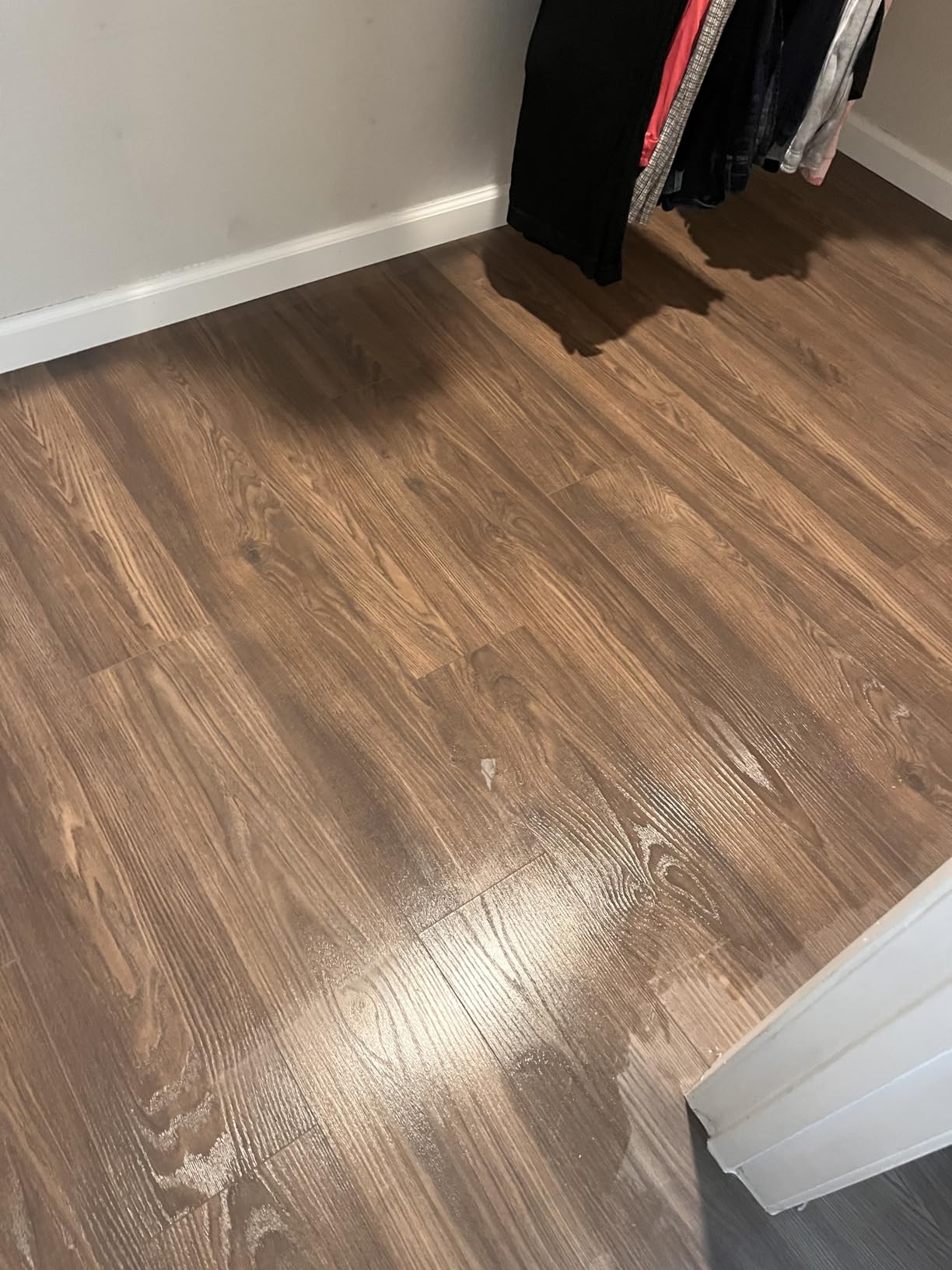 Shark | Wet Dry Vacuum Cleaner | Vacuum and Mop Combo | HydroVac MessMaster | 3-in-1 Self-Cleaning + Powerful Suction | 2 Brushrolls & 2 Solutions Included | Hardwood Floor & Area Rug Cleaner | AW261 - Customer Photo 4