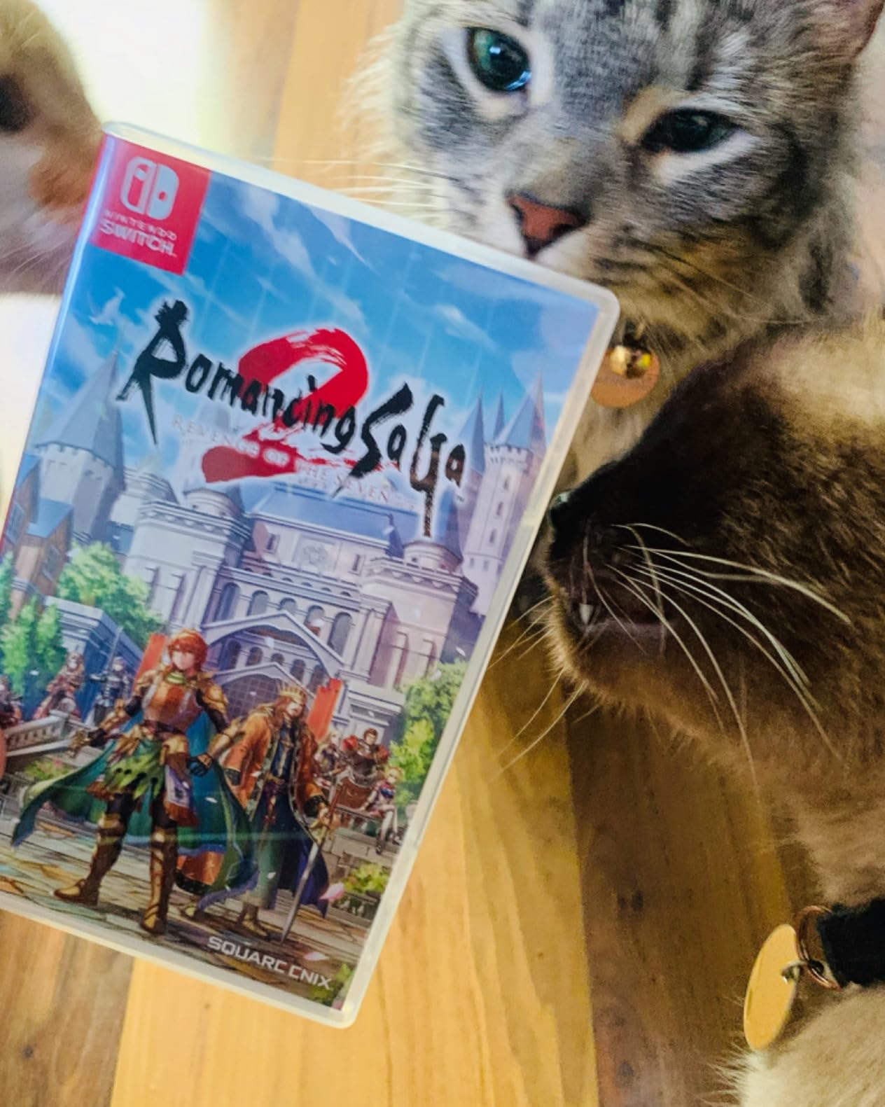 Romancing SaGa 2: Revenge of the Seven (NSW) Customer Review Romancing SaGa 2: Revenge of the Seven (NSW) - Customer Photo 1