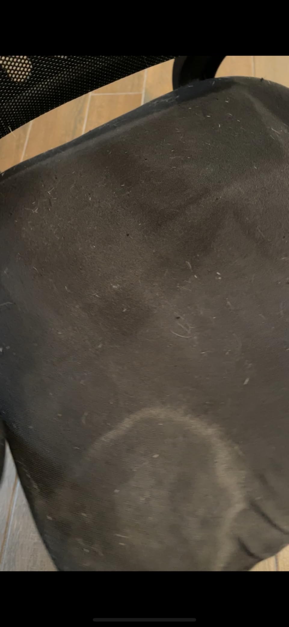 Vacmaster VOC812SF 1101 8-Gallon Premium Stainless Steel Wet/Dry Vacuum, Red Edition, 8 Gal - Customer Photo 1