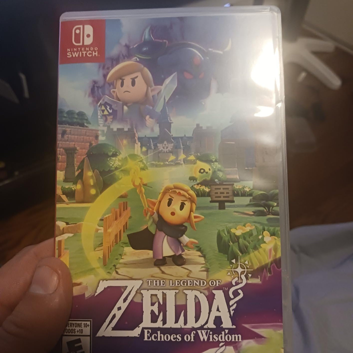 The Legend of Zelda: Echoes of Wisdom - Customer Photo 1
