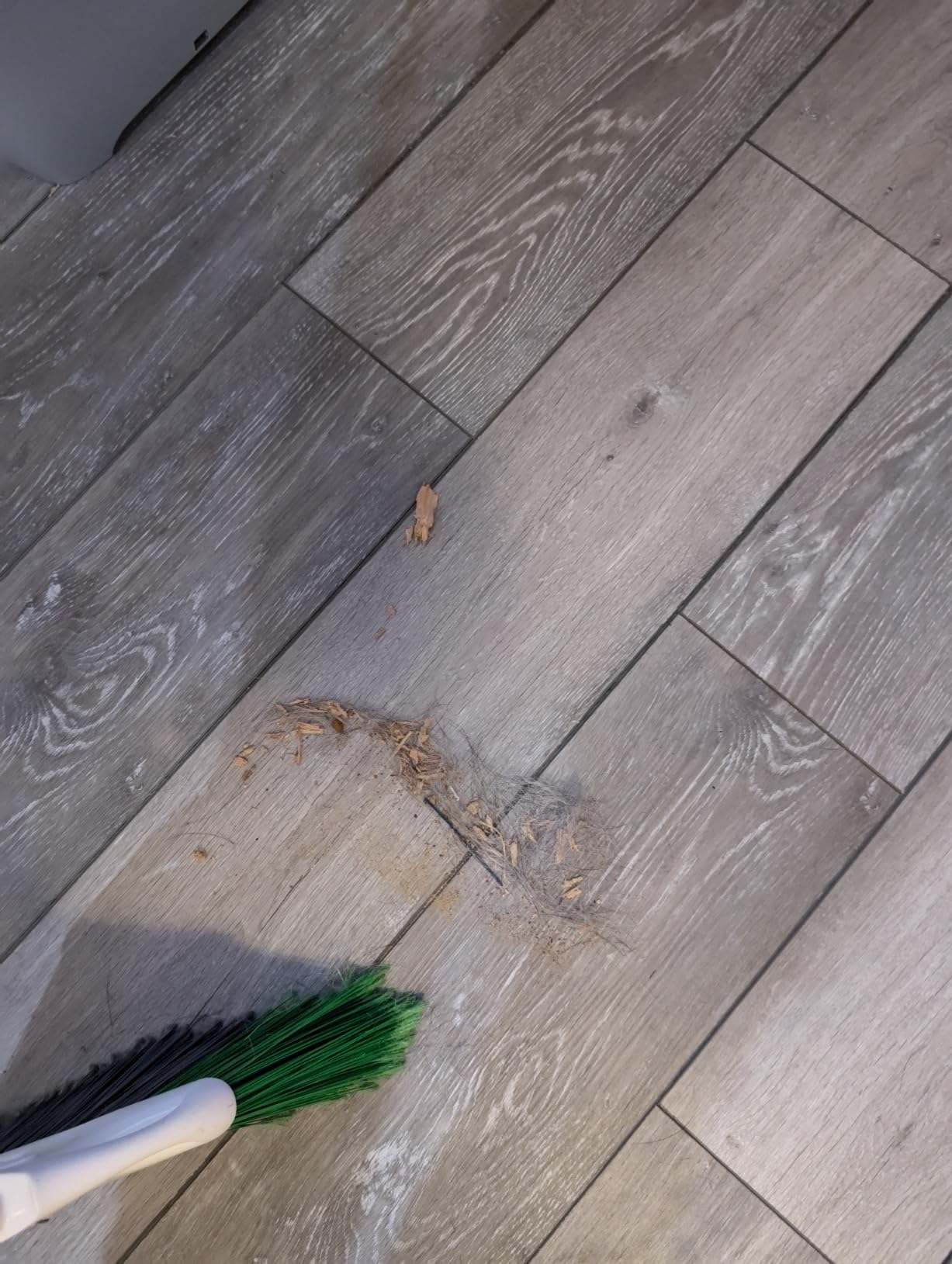 AIRTHEREAL T1 Touchless Vacuum Automatic Dustpan with 2 Operation Modes - Ultra Fast & Powerful Corded Canister Vacuum for Sweeping Salon, Pet Hair, Food, Dirt, Kitchen, 20Kpa 1500 Watt Max Suction - Customer Photo 2