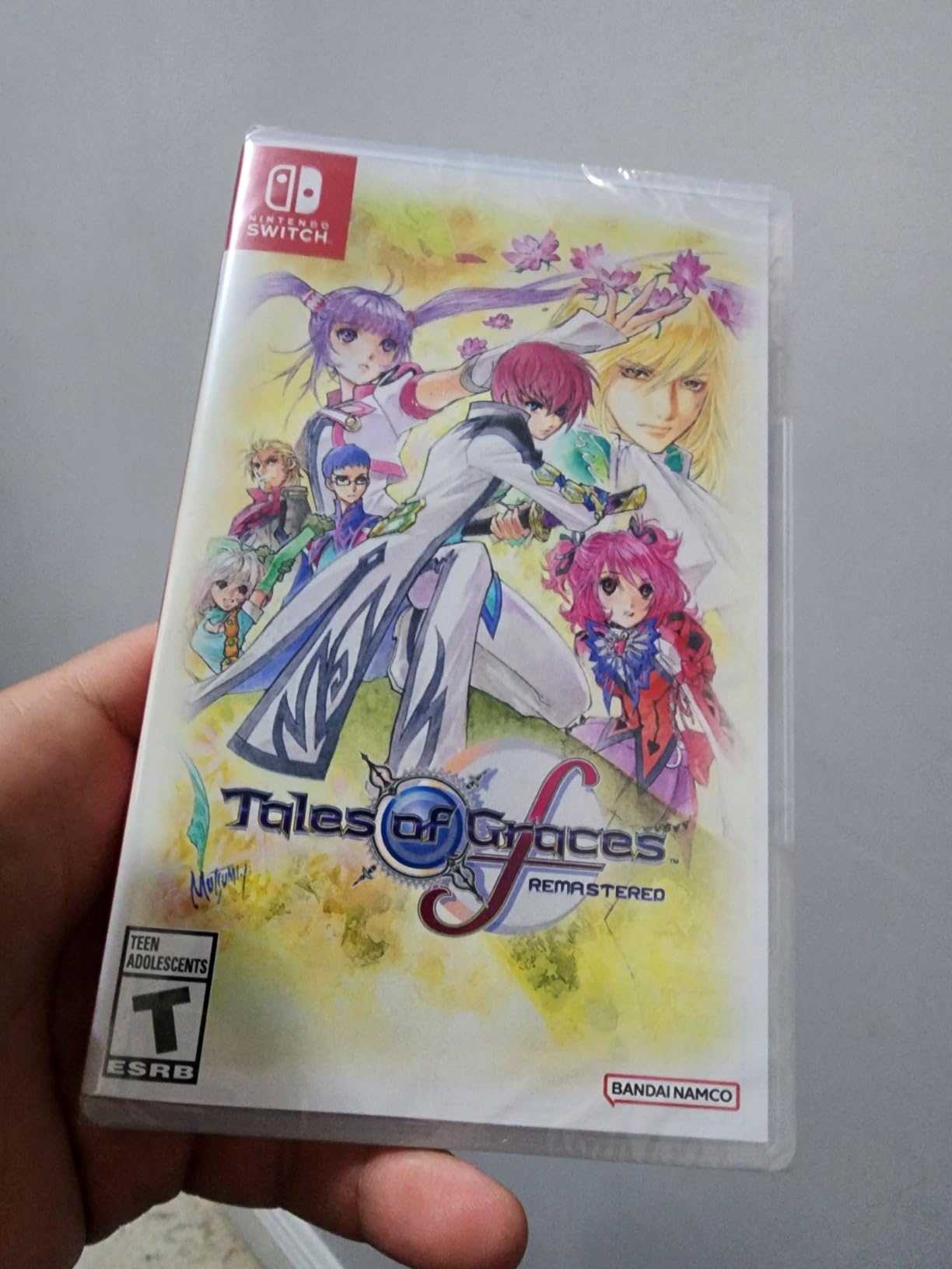 Tales of Graces f Remastered Nintendo Switch Customer Review Tales of Graces f Remastered Nintendo Switch - Customer Photo 1