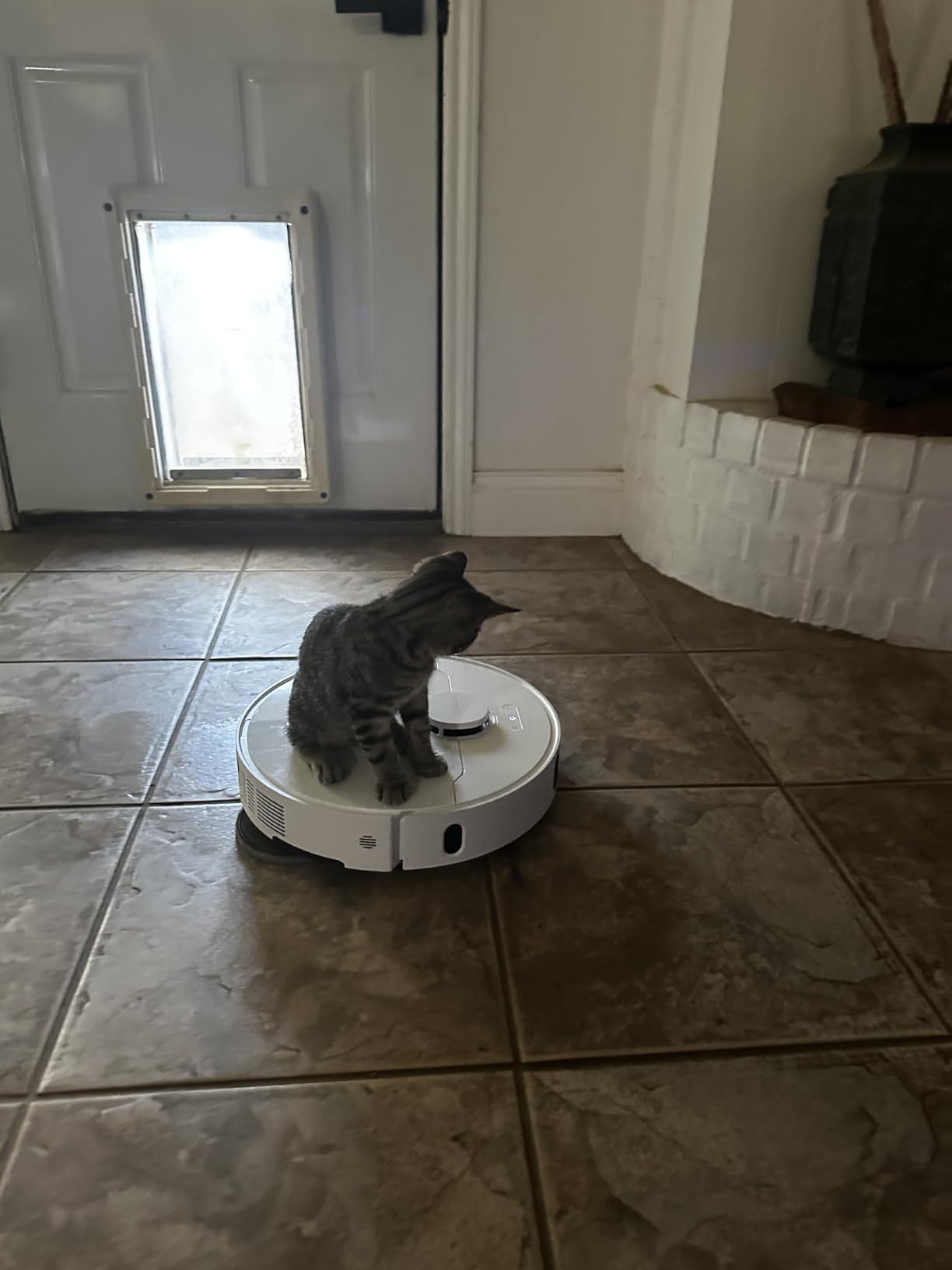 MOVA S10 Robot Vacuum Cleaner with 7000Pa Suction, 260 Mins Run Time, Liftable Brush, Self-Charging Robotic Vacuum Cleaner for Home, Pet Hair, Hard Floors, App & Voice Control - Customer Photo 2