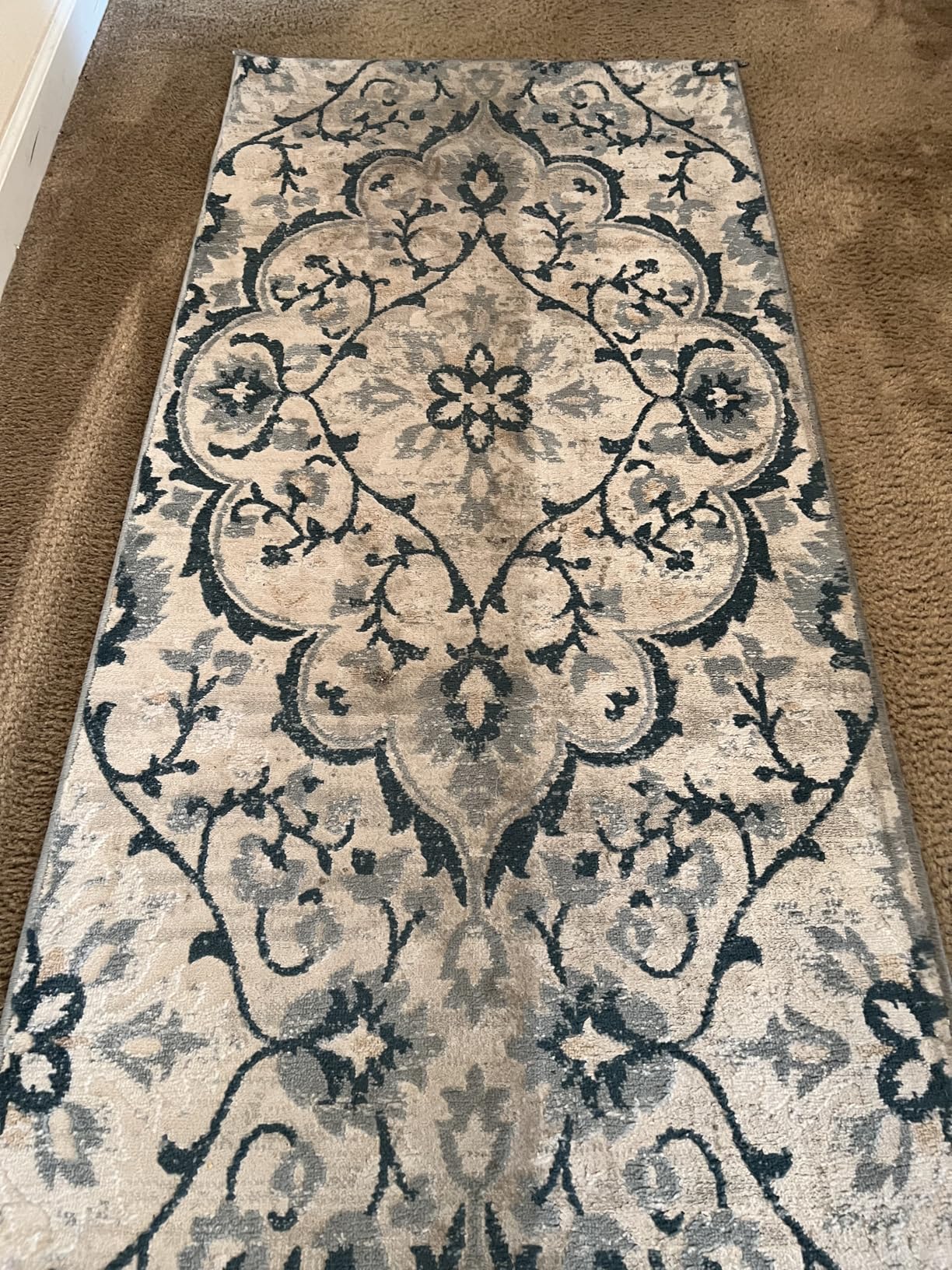 BISSELL TurboClean, Upright Carpet Cleaner, Pro Max Clean & Protect + Oxy Urine Eliminator Formula Included, 3952 - Customer Photo 2