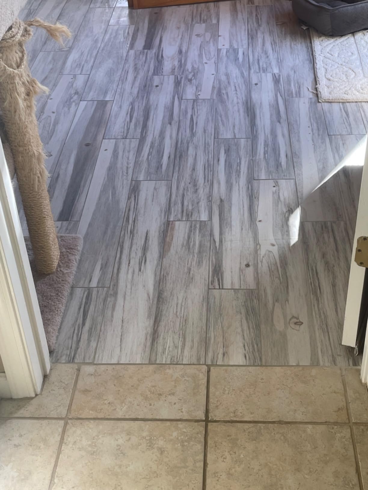 CrossWave HydroSteam Deluxe Steam Mop, 3-in-1 Wet Dry Vacuum Mop with Steam Function, Hard Floor Cleaner Machine with Sanitize Formula, Green, 3515G customer photo 1