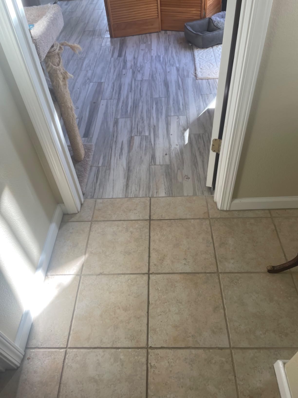 BISSELL® CrossWave® HydroSteam™ Deluxe Wet Dry Vac, Multi-Purpose Vacuum, Wash, and Steam, Formula Included, Green, 3515G - Customer Photo 3