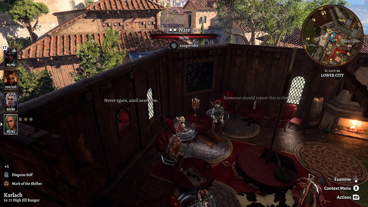 Baldur's Gate 3 Video Game Soundtrack Audiophile - Customer Photo 1