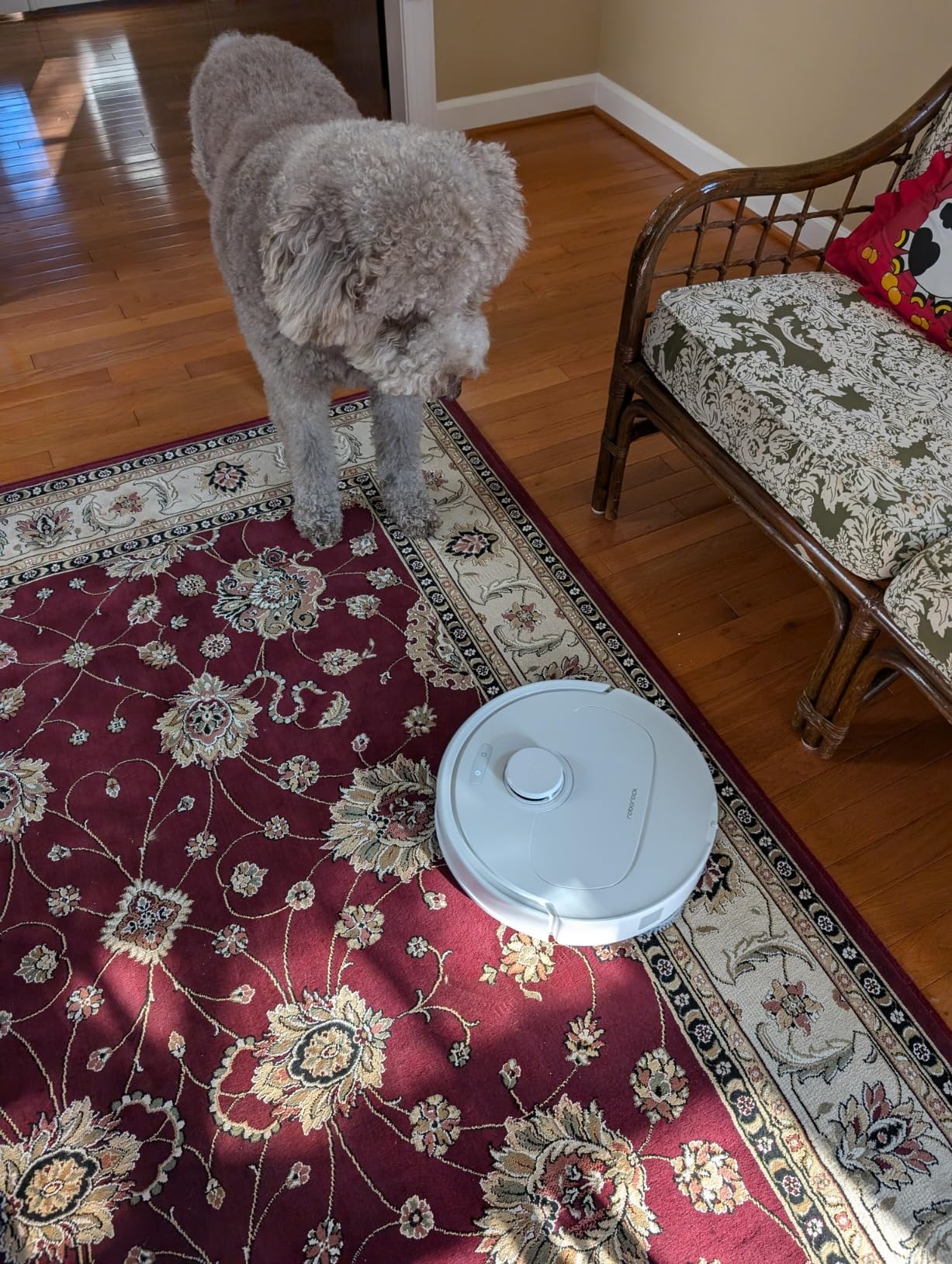 roborock Qrevo Series Robot Vacuum and Mop, 8000Pa Suction, Upgraded from Qrevo S, Anti-Tangle Brushes, Smart Obstacle Avoidance, Auto Mop Washing, All-in-One Dock, 200RPM Spinning Mops, Black(QV 35A) - Customer Photo 1