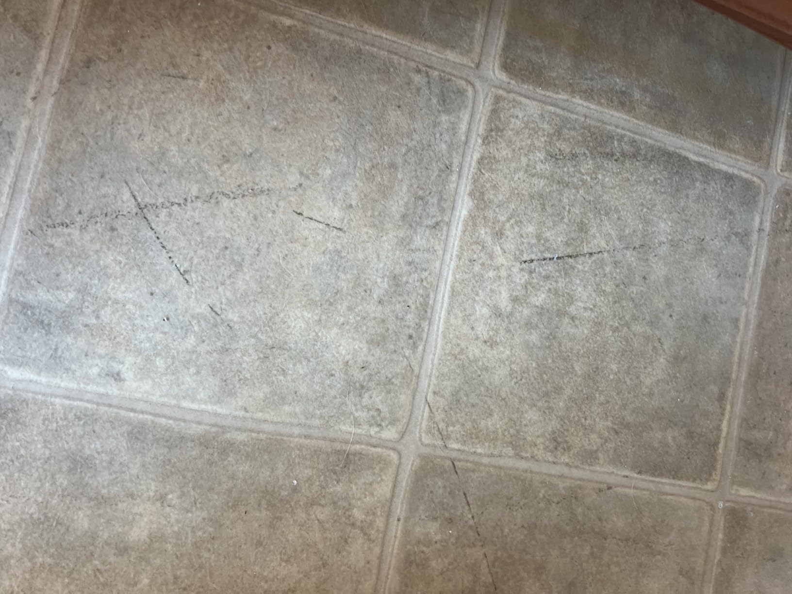 BISSELL PowerClean FurGuard 280W Self-Standing Cordless Vacuum w/Self-Cleaning Brush Roll, Strong Suction, Removeable Battery, Wall Mount, Upholstery Tool & Bright Headlights Customer Review BISSELL PowerClean FurGuard 280W Self-Standing Cordless Vacuum w/Self-Cleaning Brush Roll, Strong Suction, Removeable Battery, Wall Mount, Upholstery Tool & Bright Headlights - Customer Photo 1