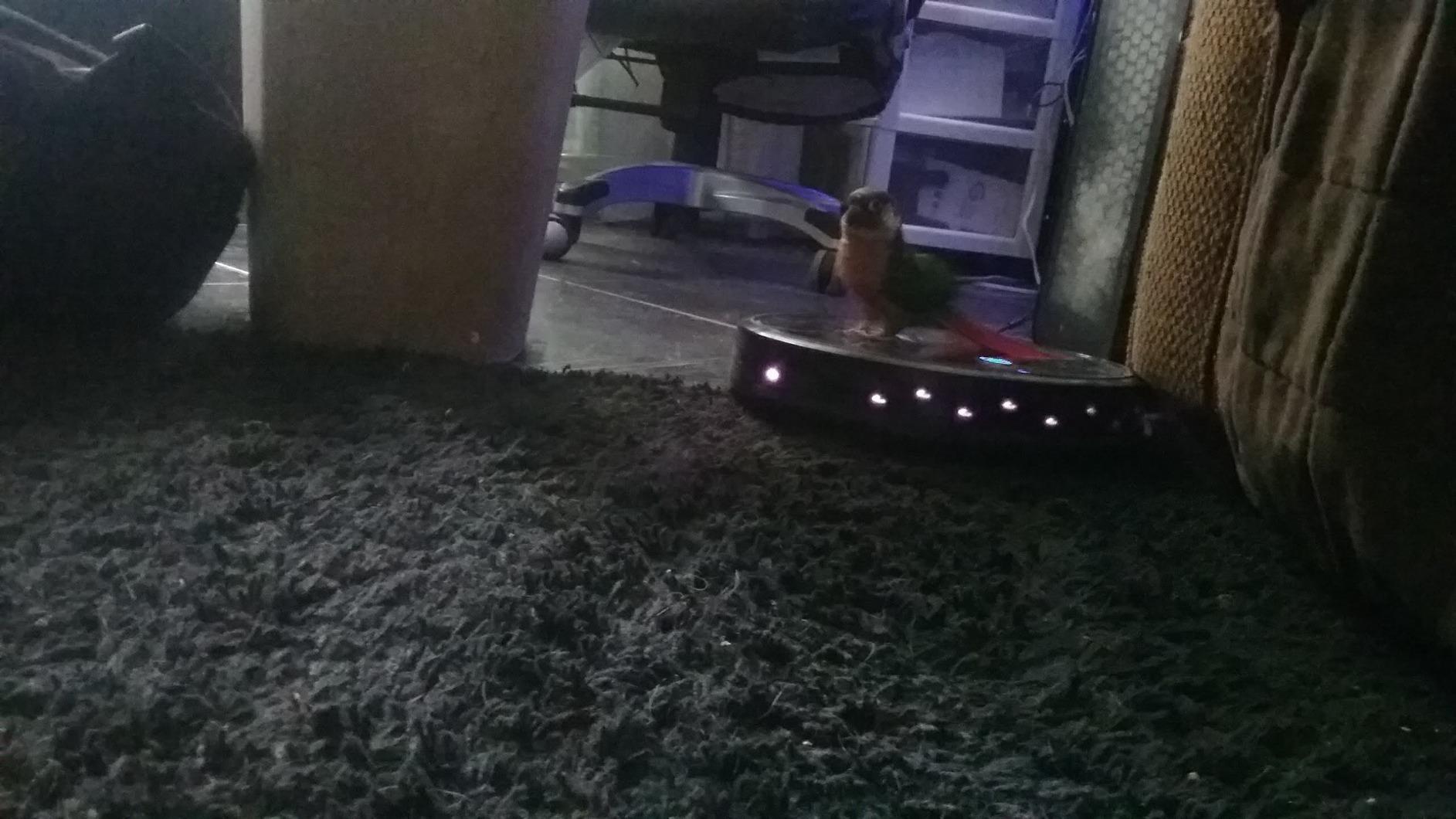 eufy C10 Robot Vacuum Self Emptying, 8 Weeks Hands Free, Advanced Smart Mapping with LiDAR Navigation, 2.85-Inch Slim Design, Powerful Suction, Edge Expansion Brush for Pet Hair Customer Review eufy C10 Robot Vacuum Self Emptying, 8 Weeks Hands Free, Advanced Smart Mapping with LiDAR Navigation, 2.85-Inch Slim Design, Powerful Suction, Edge Expansion Brush for Pet Hair - Customer Photo 2