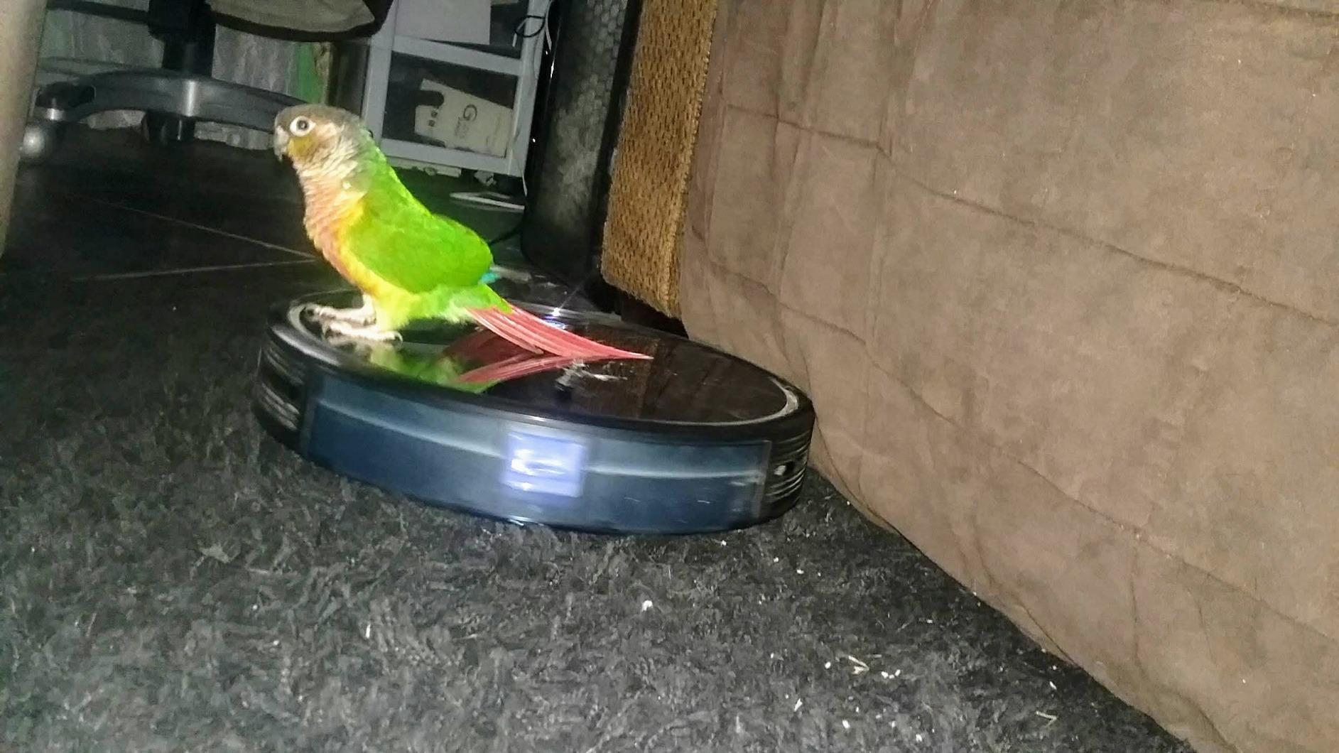 eufy C10 Robot Vacuum Self Emptying, 8 Weeks Hands Free, Advanced Smart Mapping with LiDAR Navigation, 2.85-Inch Slim Design, Powerful Suction, Edge Expansion Brush for Pet Hair - Customer Photo 4