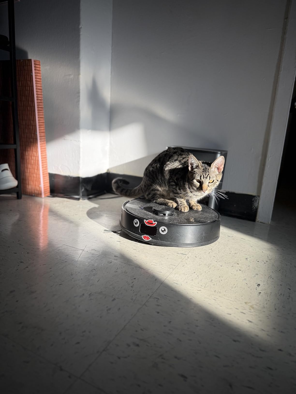 MONSGA Robot Vacuum and Mop Combo, 5000Pa Robotic Vacuum with 3.5L Self Emptying Station, Lidar Navigation Robot Vacuum Cleaner, 180mins Runtime, APP/Remote/Voice Control, for Hard Floors and Carpets - Customer Photo 3