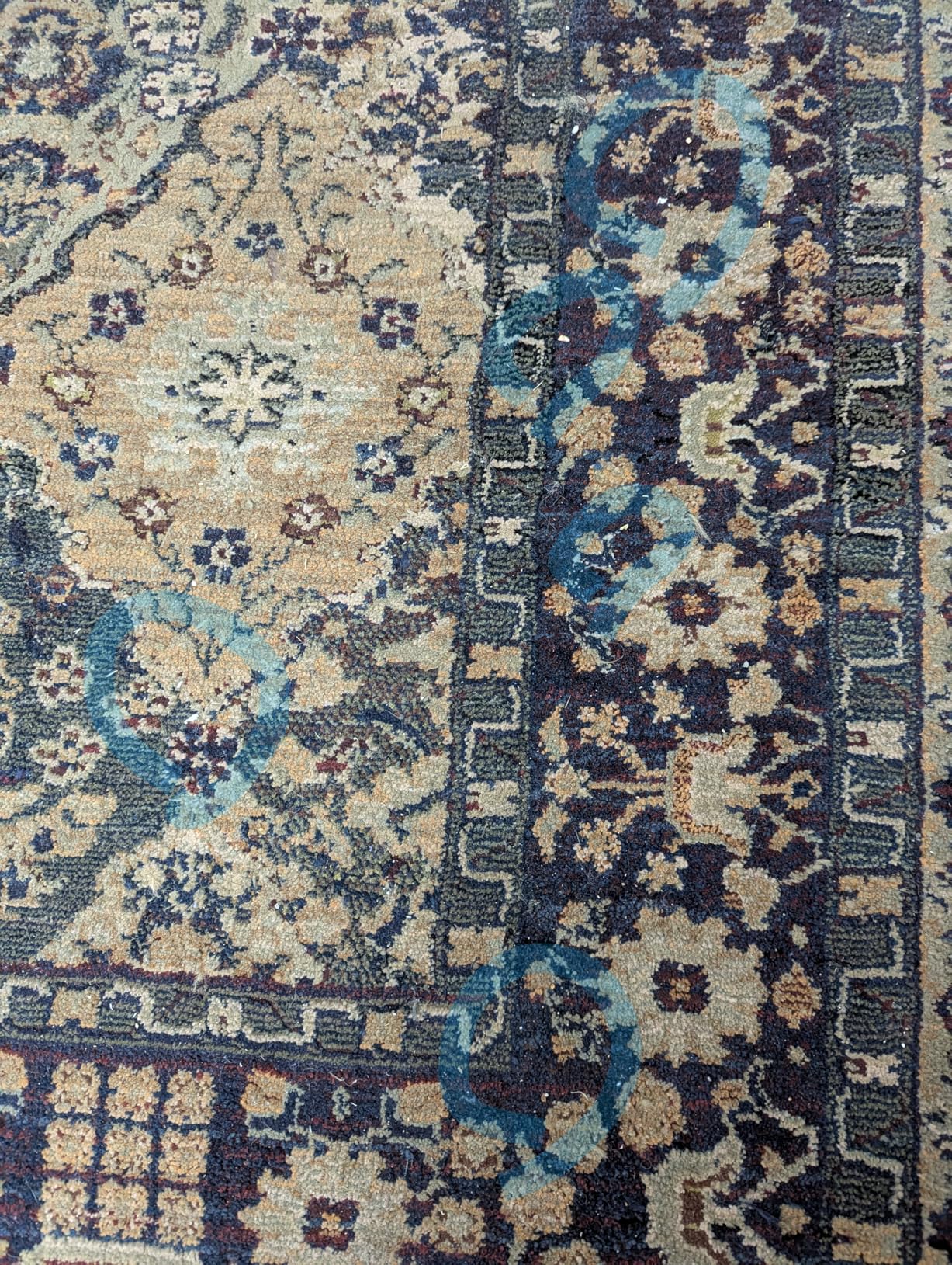 Tikom Robot Vacuum and Mop Combo, 5000Pa Robotic Vacuum Cleaner, 150 Min Max, App & Remote Control, Ideal for Hard Floor, Carpet, Pet Hair, Self-Charge(G8000 Max) - Customer Photo 4