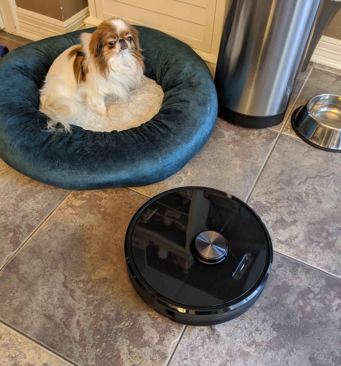 roborock Q7 L5 Robot Vacuum and Mop Combo, 8,000Pa Suction, Upgraded from Q5 Pro, Dual Anti-Tangle System, LiDAR Navigation, Multi-Level Mapping, Self-Charging Robotic Vacuum Cleaner, Black Customer Review roborock Q7 L5 Robot Vacuum and Mop Combo, 8,000Pa Suction, Upgraded from Q5 Pro, Dual Anti-Tangle System, LiDAR Navigation, Multi-Level Mapping, Self-Charging Robotic Vacuum Cleaner, Black - Customer Photo 1