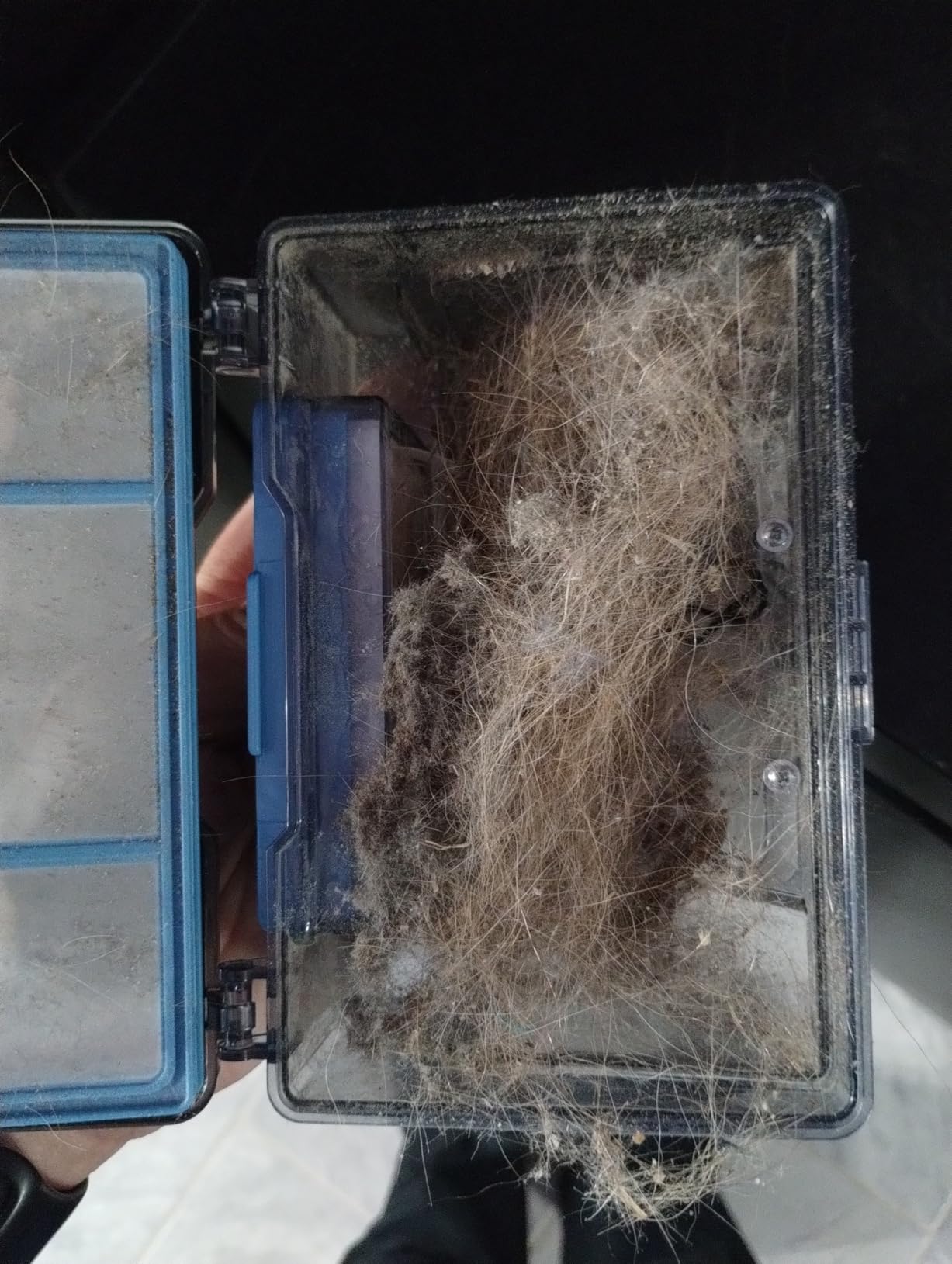 ILIFE V2 Robot Vacuum Cleaner, Tangle-Free Suction, 120 Mins Runtime, Slim, Self-Charging Robotic Vacuum Cleaner, Ideal for Pet Hair and Hard Floors - Customer Photo 1