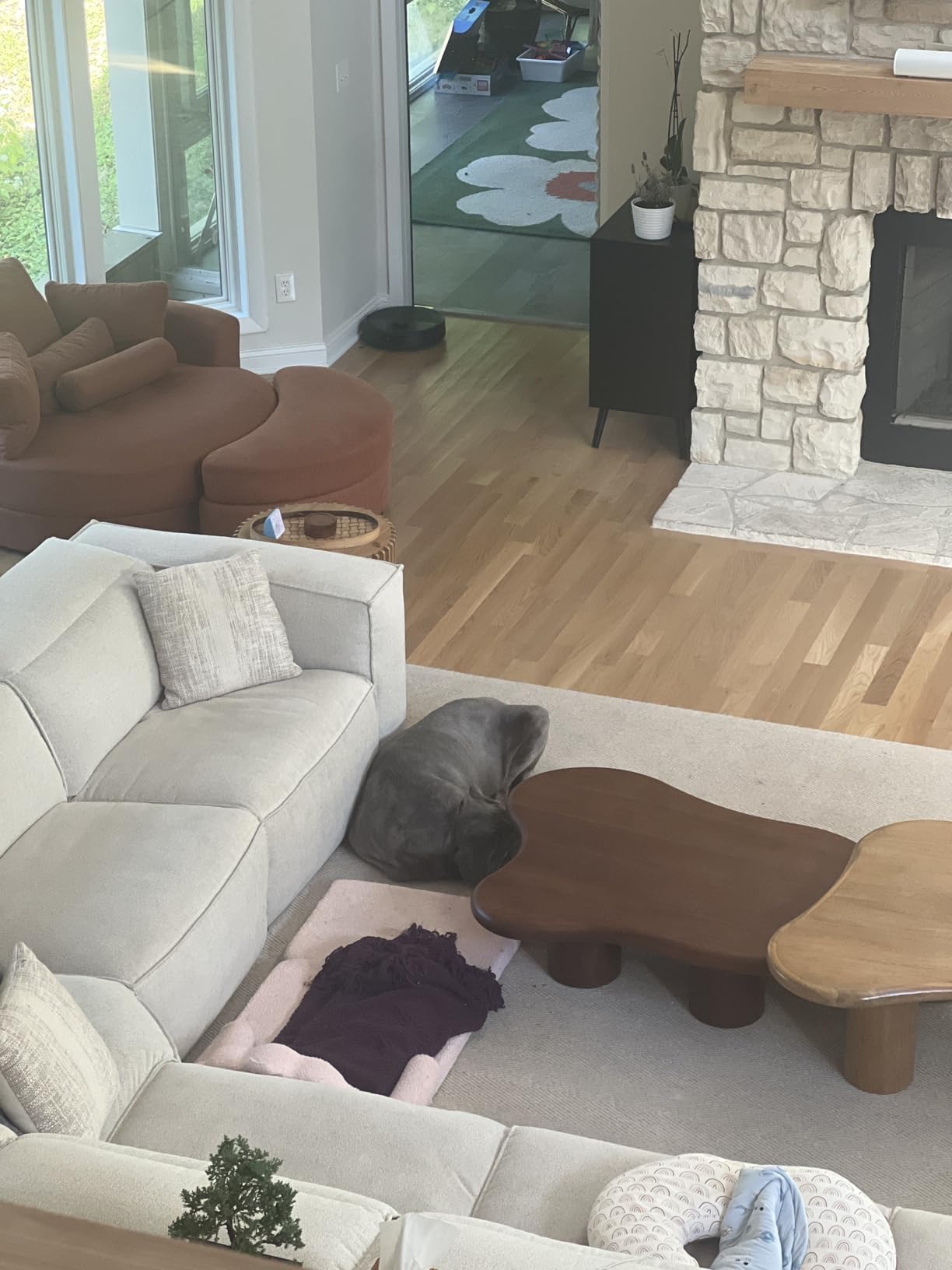 iRobot Roomba Plus 504 Vac Robot Vacuum with AutoEmpty Dock - Superior Power-Lifting Suction, Anti-Tangle Dual Rubber Brushes, Perfect for Pet Hair, Self-Empties for 75 Days, Avoids Obstacles, LiDAR - Customer Photo 1