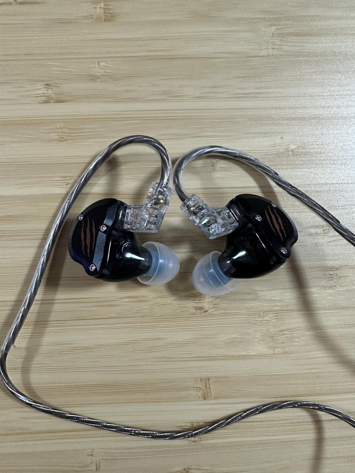 In Ear Monitors Headphones, HiFi Wired Earbuds with Noise Isolating, Type-C with Microphone Earphone, IEM Headset with Detachable Recessed 2Pin Cable for Gaming, Musicians, Singer (with Mic USB-C) - Customer Photo 3