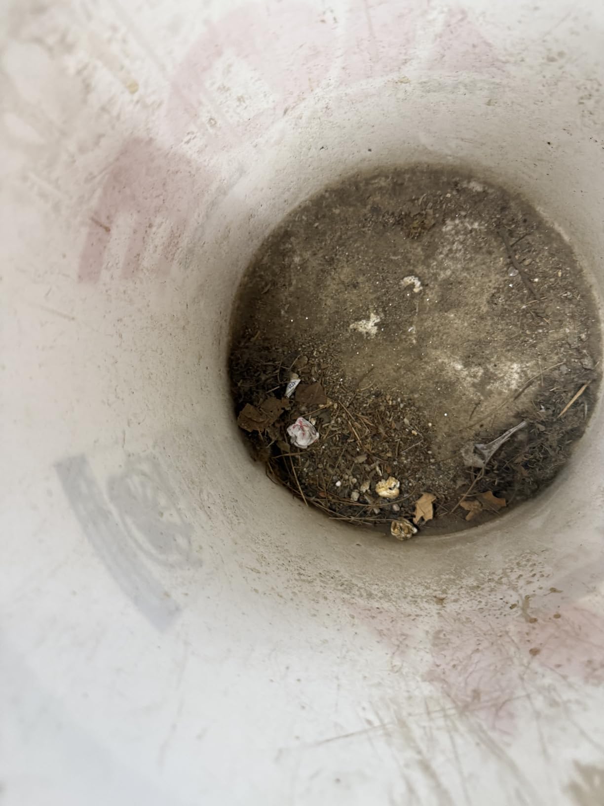 Pet Hair Handheld Vacuum Cordless: 20000PA High Power Car Vacuum with Motorized Brush and LED Light, Rechargeable Hand Held Vacuum Cleaner with Reusable Filter for Car, Home, Office & Pet, Purple - Customer Photo 1