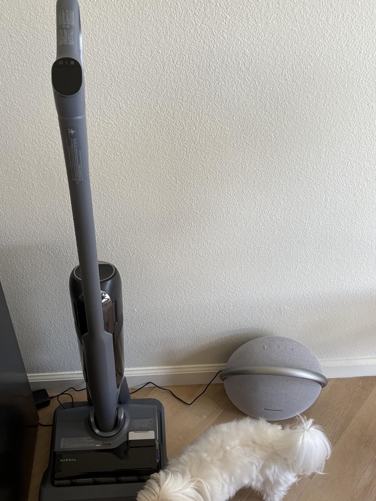 NARWAL S30 Pro Wet Dry Vacuum Cleaner with 20000Pa Suction, Cordless Vacuum Mop for Hard Floors, Tangle-Free Hair-Cutting, 180° Lie Flat, 194°F Self-Cleaning, Disposable Waste Bag, Edge Cleaning Customer Review NARWAL S30 Pro Wet Dry Vacuum Cleaner with 20000Pa Suction, Cordless Vacuum Mop for Hard Floors, Tangle-Free Hair-Cutting, 180° Lie Flat, 194°F Self-Cleaning, Disposable Waste Bag, Edge Cleaning - Customer Photo 3