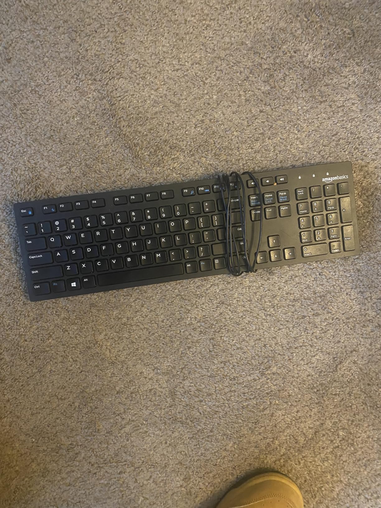 Amazon Basics Wired QWERTY Keyboard, Full-Sized, Black Customer Review Amazon Basics Wired QWERTY Keyboard, Full-Sized, Black - Customer Photo 2