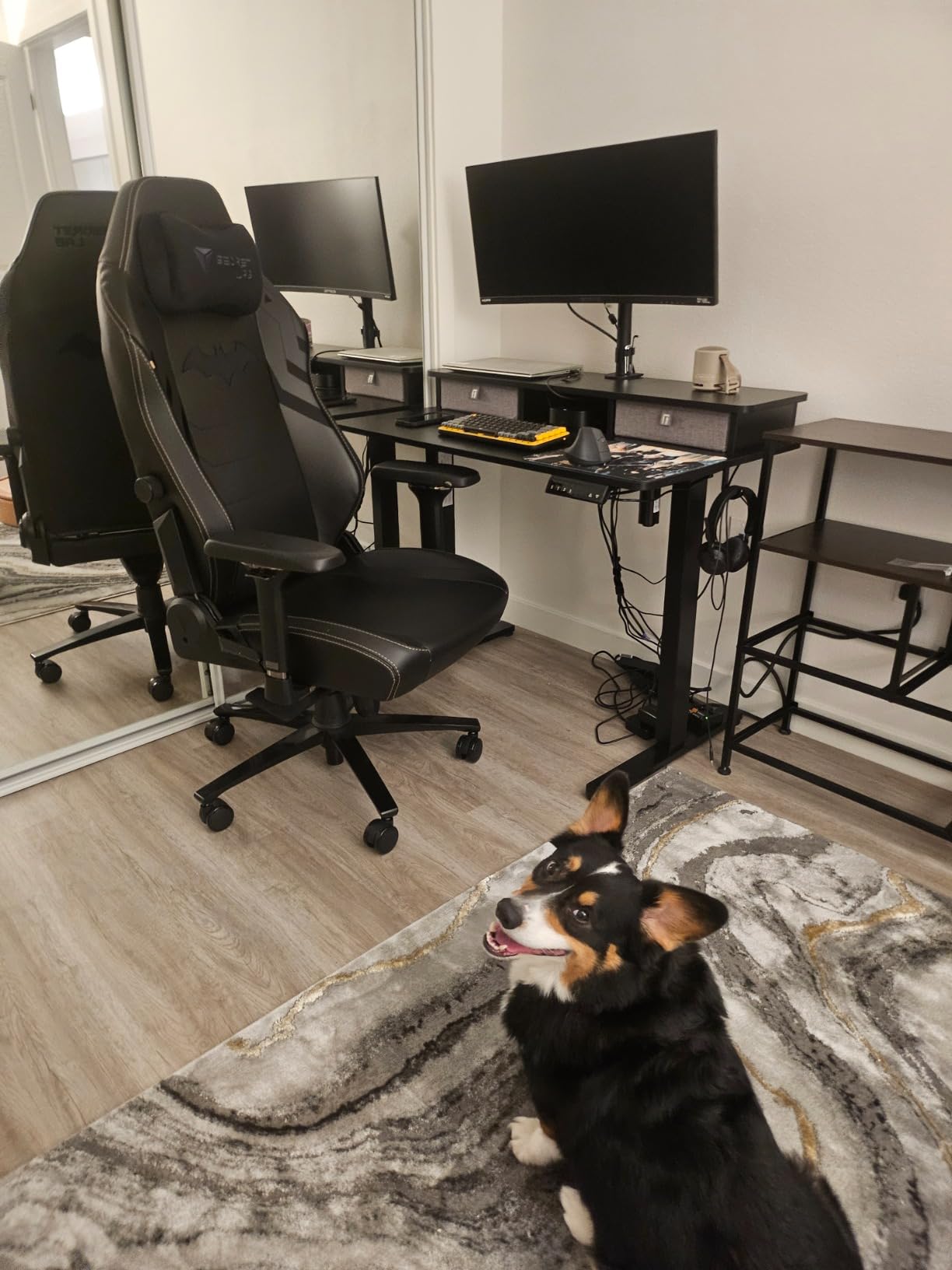 Secretlab Titan Evo Dark Knight Gaming Chair - Reclining, Ergonomic, Comfortable Computer Chair with 4D Armrests, Headrest & Lumbar Support - Regular - Black - Leatherette - Customer Photo 2