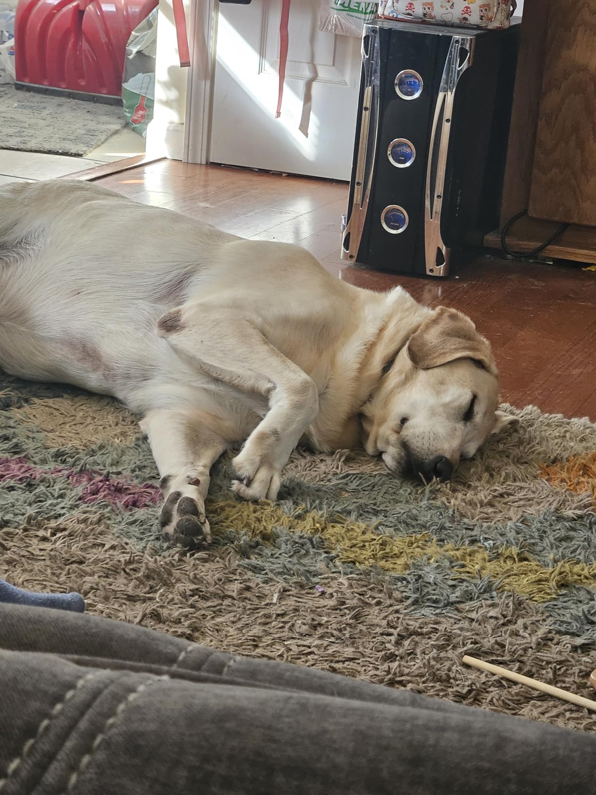 Roku Voice Remote | Replacement TV Remote Control with Voice Control, Simple Setup, & Pre-Set App Shortcuts - Compatible with Roku TV, Players, & Audio Devices - Customer Photo 2