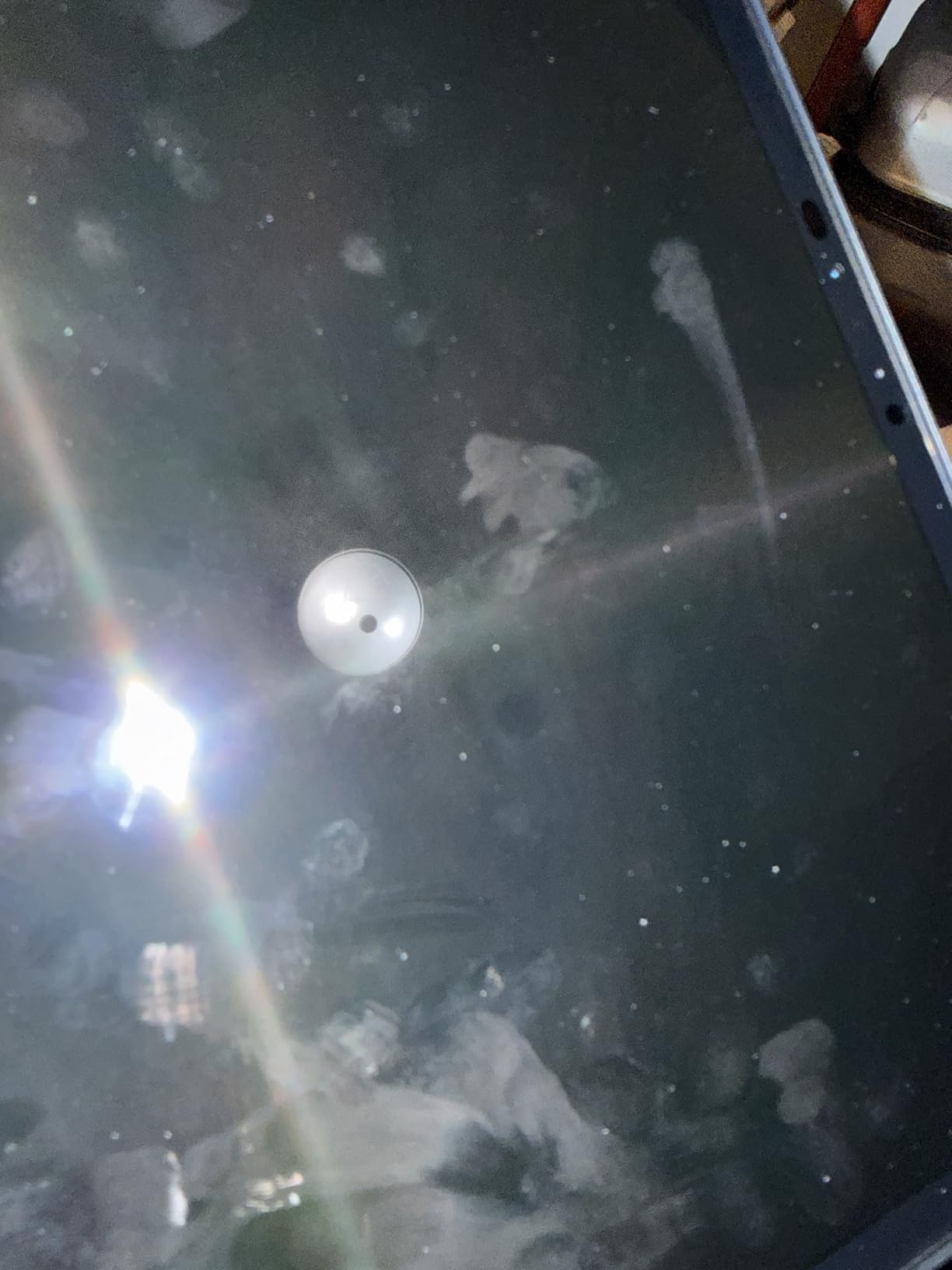 Apple iPad Pro 2024 (11-inch, Wi-Fi, 256GB) - Space Black (Renewed) Customer Review Apple iPad Pro 2024 (11-inch, Wi-Fi, 256GB) - Space Black (Renewed) - Customer Photo 1