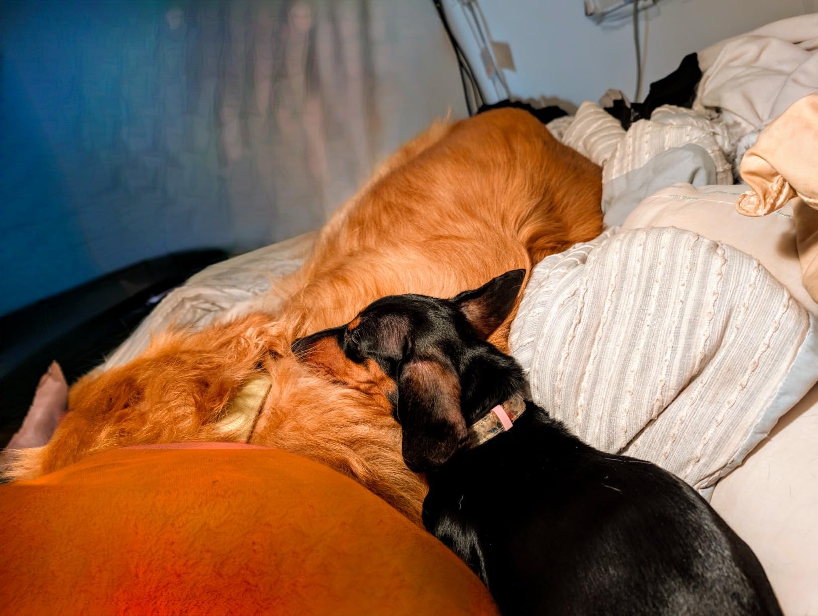 Google Pixel 9 Pro XL - Unlocked Android Smartphone with Gemini, Triple Rear Camera System, 24-Hour Battery, and 6.8