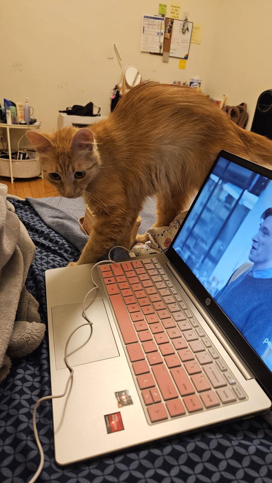 HP 14 inch Laptop, HD Touchscreen Display, AMD Ryzen 5 7520U, 8 GB RAM, 512 GB SSD, AMD Radeon Graphics, Windows 11 Home, Natural Silver, 14-em0499nr - Customer Photo 1