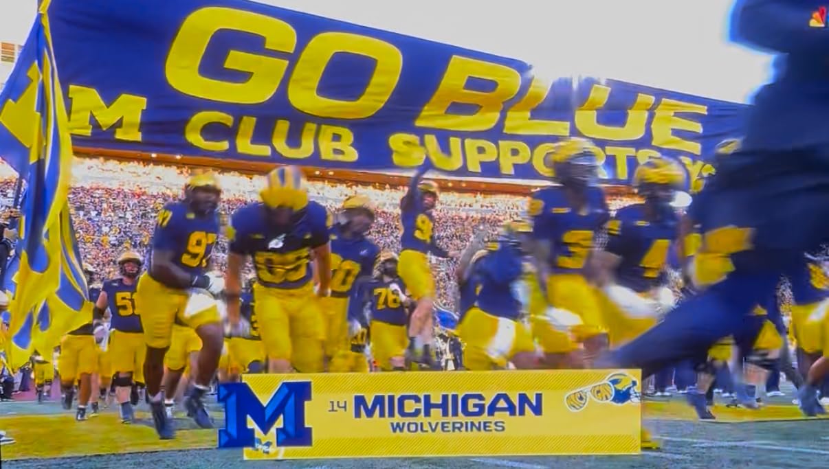 LG 65-Inch Class OLED evo AI 4K G5 Series Smart TV w/Dolby Atmos, Dolby Vision, HDR10, AI Super Upscaling 4K, Filmmaker Mode, Wow Orchestra, Alexa Built-in (OLED65G5WUA, 2025) - Customer Photo 3