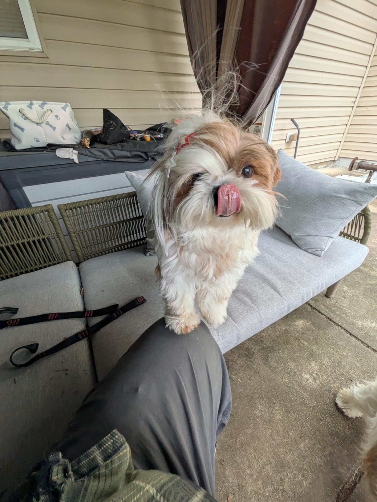 Google Pixel 10 - Unlocked Android Smartphone - Gemini AI Assistant - Advanced Triple Rear Camera, Fast-Charging 24+ Hour Battery, and 6.3