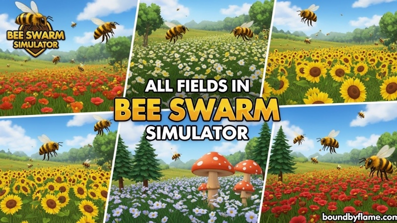 All Fields in Bee Swarm Simulator