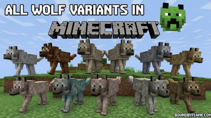 All Wolf Types Minecraft