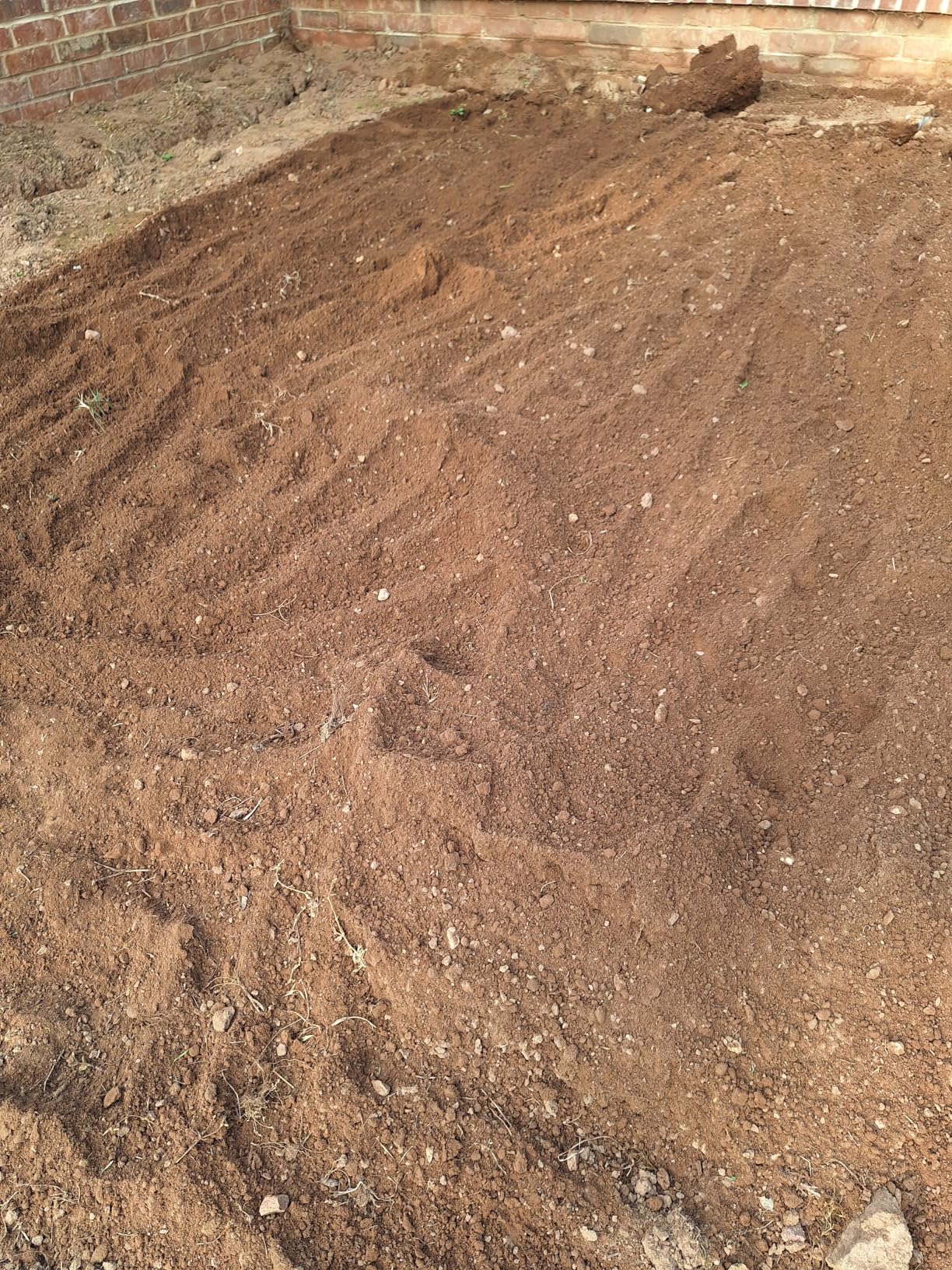 Earthwise TC70025 7.5-Inch 2.5-Amp Corded Electric Tiller/Cultivator, 7.5-Inch, 2.5-Amp Corded, Grey - Customer Photo 2