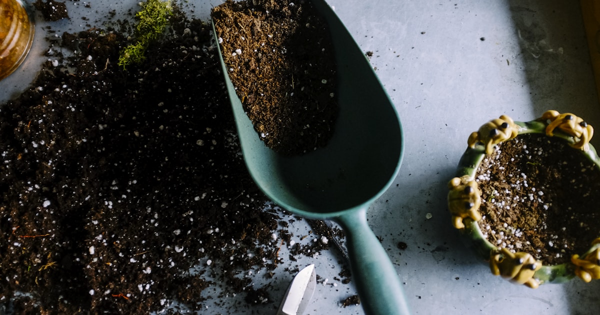 Best Deer Repellents for Gardens: Top 8 Products Tested in 2025 - boundbyflame