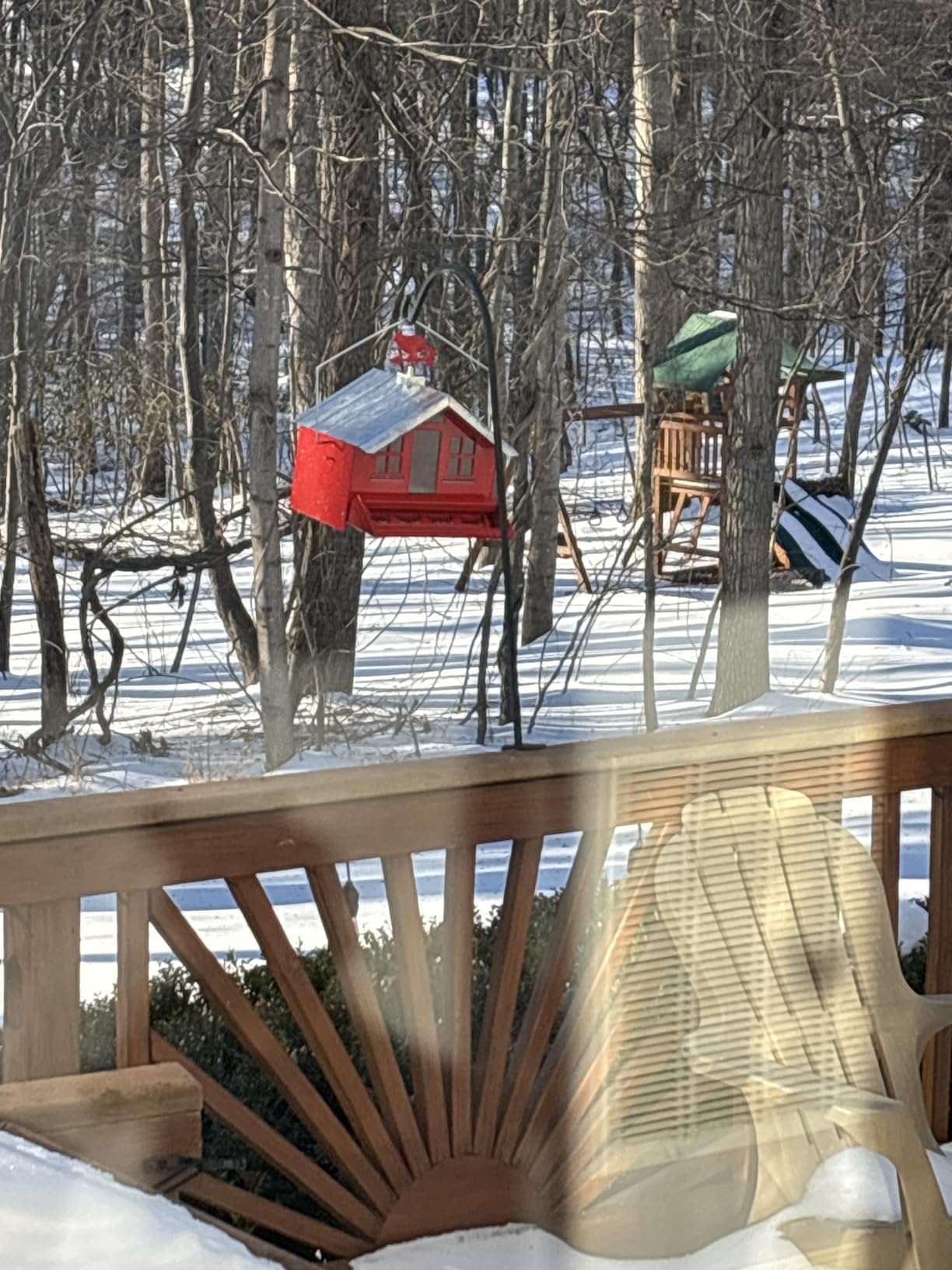 Perky-Pet Squirrel-Be-Gone II Country House Bird Feeder with Weathervane - 8 lb Seed Capacity - Squirrel Proof Wild Bird Feeder for Outdoors - Durable Construction - Rustic Outdoor Decor - 338, Red customer photo 1