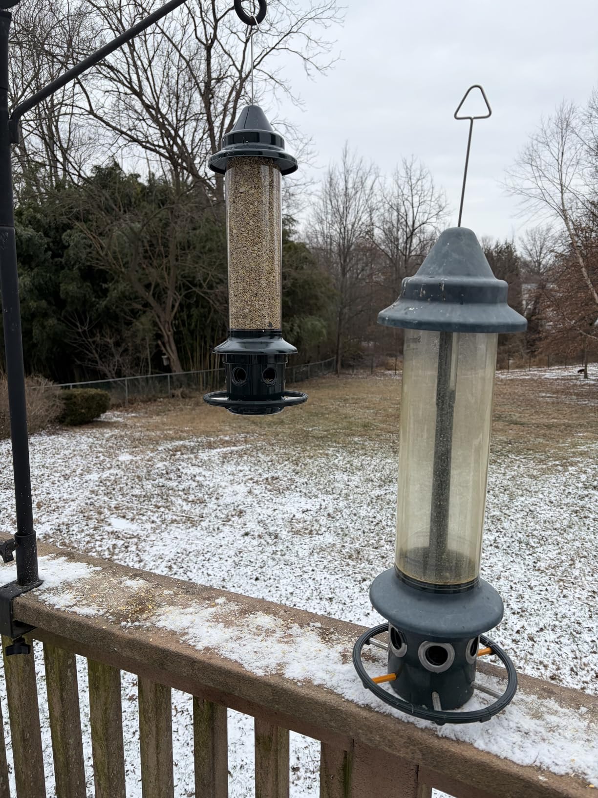 Squirrel Buster Plus Squirrel-proof Bird Feeder w/Cardinal Ring and 6 Feeding Ports, 5.1-pound Seed Capacity, Adjustable, Pole-mountable (POLE ADAPTOR SOLD SEPARATELY), Green customer photo 2