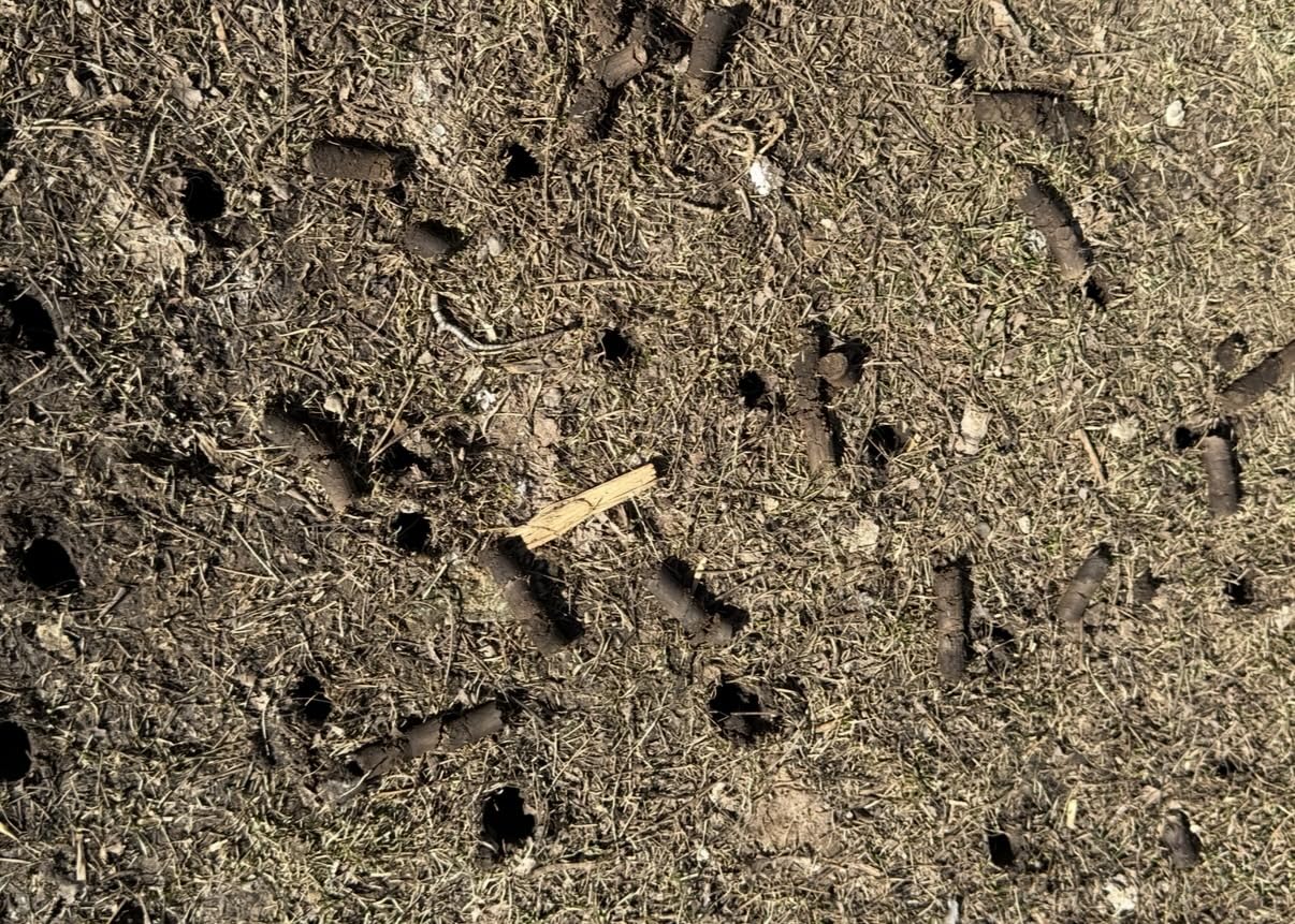 Yard Butler Manual Lawn Coring Aerator, ID-6C - Lawn Care Tool for Aerating - Long-Handled - Power-Coated Steel Construction - Comfortable Cushioned Handles Garden Tool - Easy to Use customer photo 2