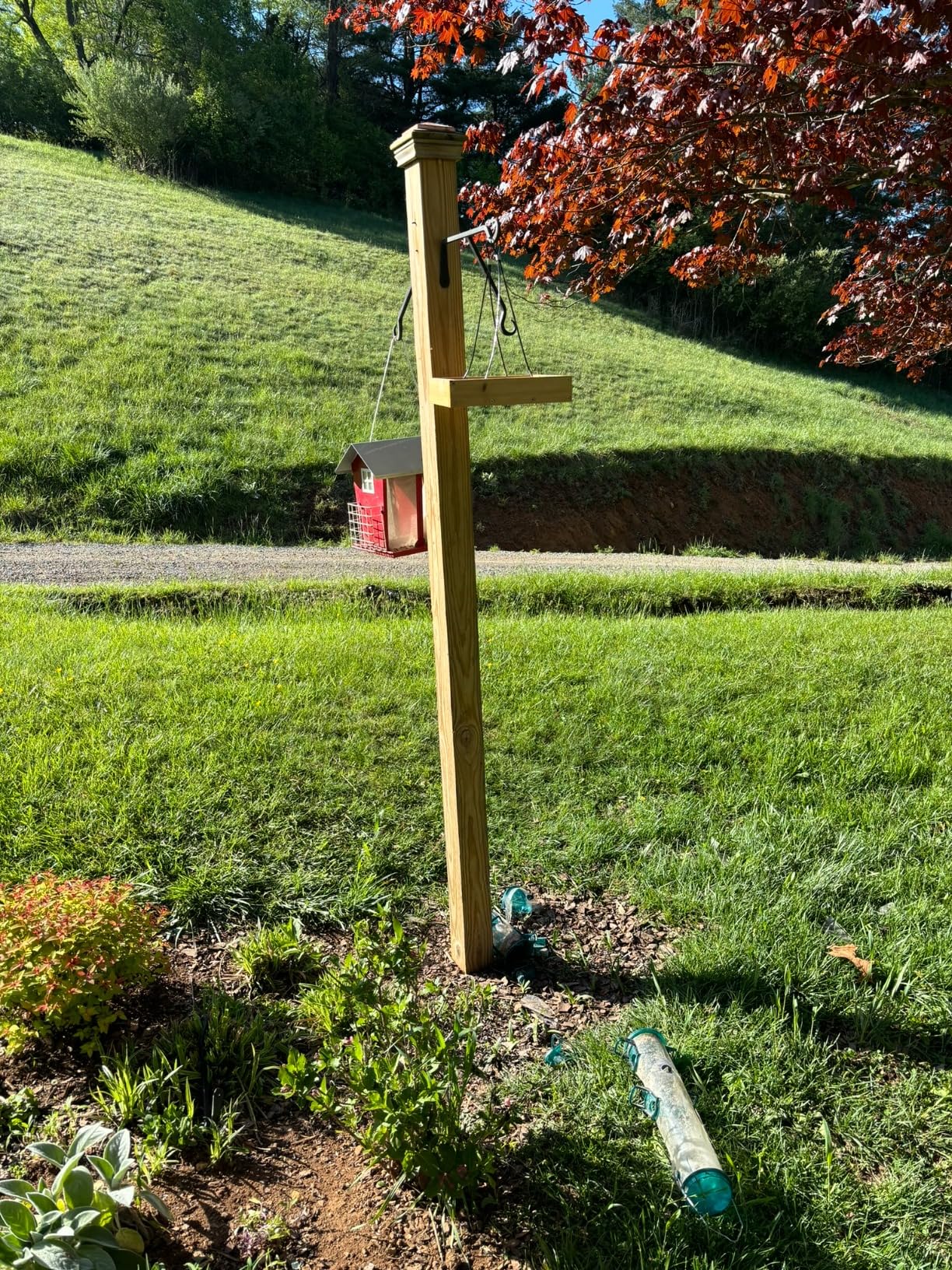 Wild Wings WWCF23 Rot Resistant Cedar Hanging Tray Bird Feeder with Fresh Seed Tray, Platform Feeder for Outdoor Wild Bird Seed Feeder and Decor, Wood customer photo 1