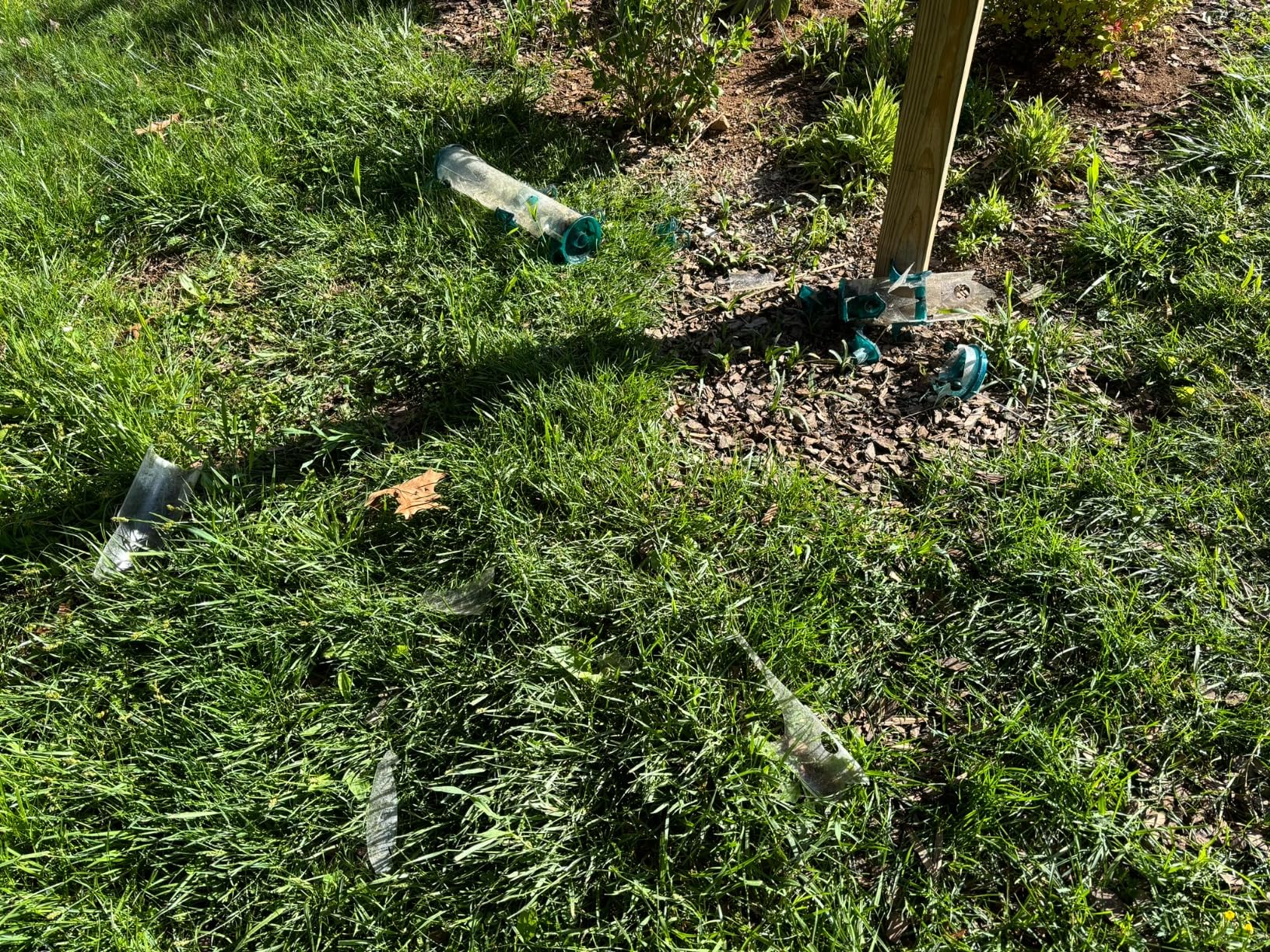 Wild Wings WWCF23 Rot Resistant Cedar Hanging Tray Bird Feeder with Fresh Seed Tray, Platform Feeder for Outdoor Wild Bird Seed Feeder and Decor, Wood customer photo 2