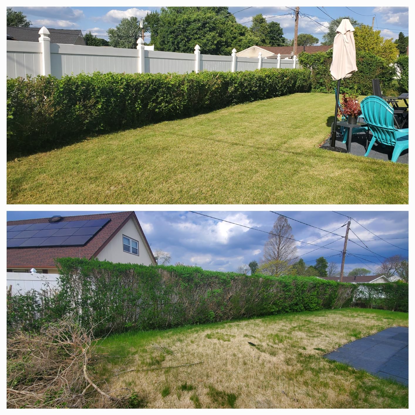 Greenworks 40V 8-Inch Cordless Polesaw, 2.0Ah Battery and Charger Included PS40B210 customer photo 1