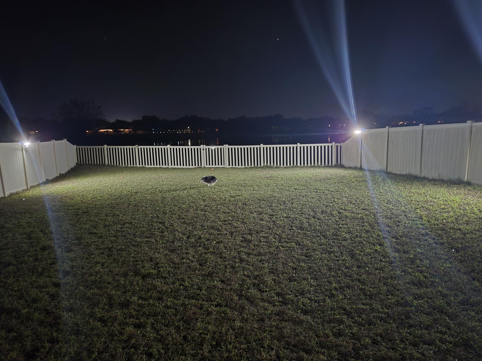 LEPOWER 1600LM LED Solar Security Lights Motion Outdoor, Motion Sensor Light, 5500K White Light, IP65 Waterproof Outdoor Flood Solar Light with 3 Adjustable Head for Yard, Garage（White） customer photo 1