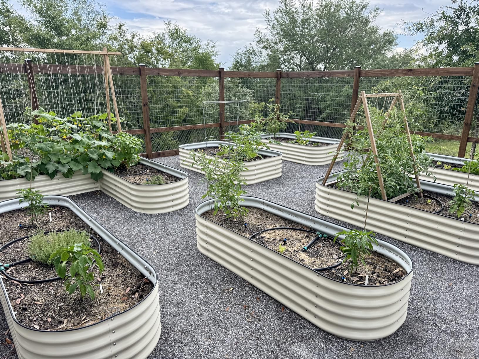 MySoil Soil Test Kit, Unlock Your Lawn & Garden Potential, Complete & Accurate Nutrient and pH Analysis with Recommendations Tailored to Your Soil and Plant Needs customer photo 1