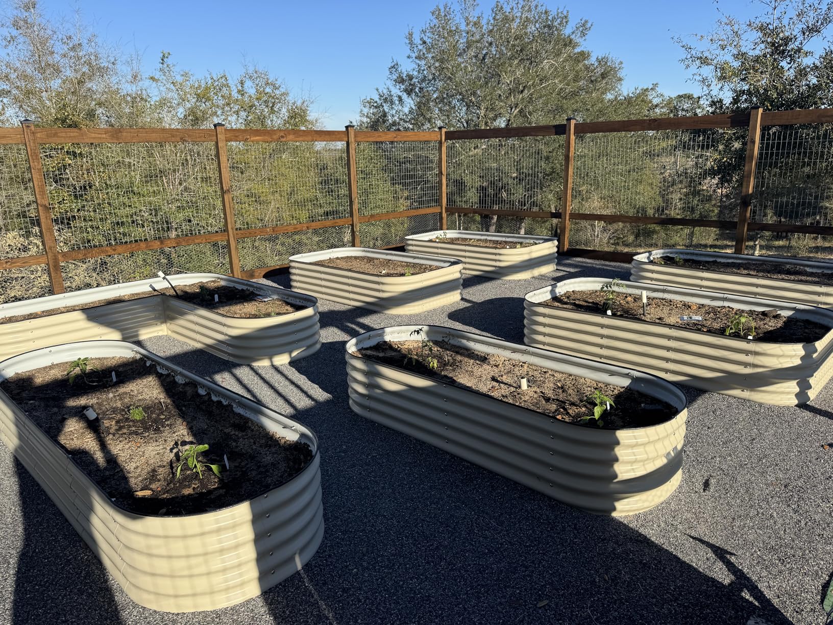 MySoil Soil Test Kit, Unlock Your Lawn & Garden Potential, Complete & Accurate Nutrient and pH Analysis with Recommendations Tailored to Your Soil and Plant Needs customer photo 2