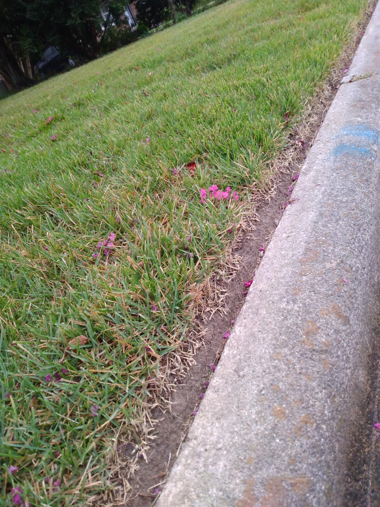 EGO Power+ String Trimmer, Battery Powered, 15