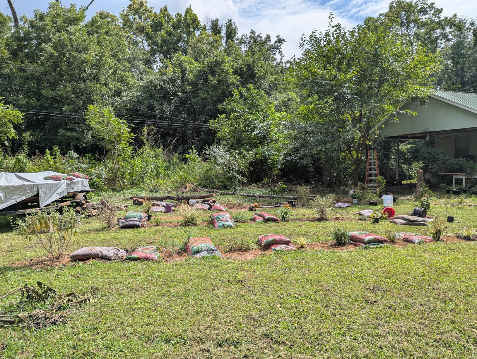 FCMP Outdoor 45 Gallon Heavy Duty Rain Water Catcher Barrel Container with Hose and Debris Screen for Outdoor Plants, Garden, and Landscapes (RC45-BLK) Black customer photo 1
